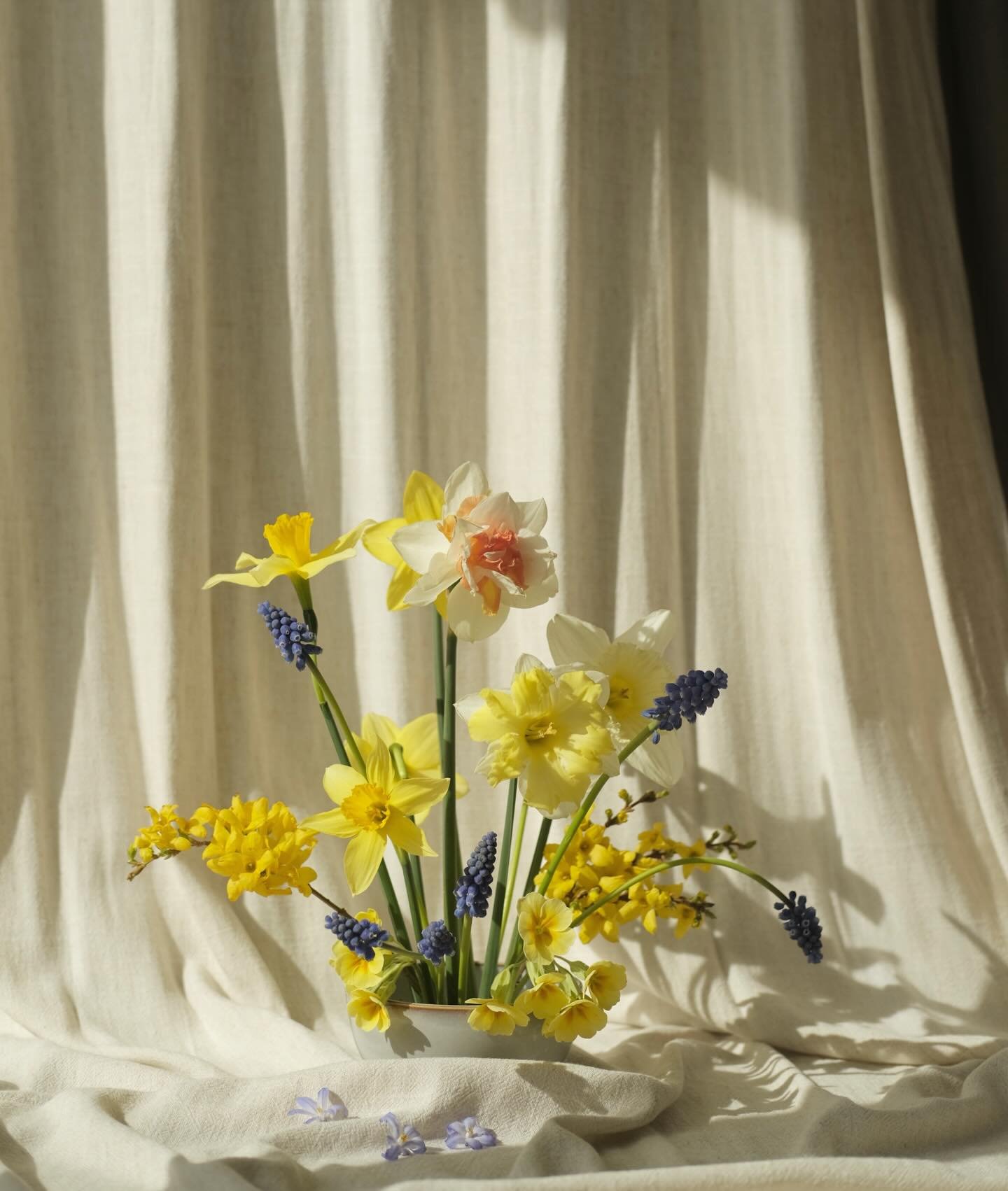 Quick play with some spring goodies from the garden whilst the babe napped this afternoon 🌼🤍