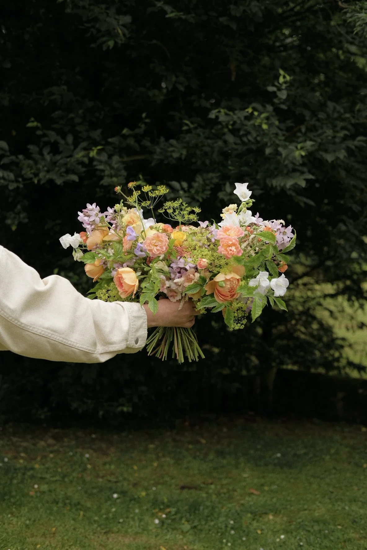 Person holding a colorful bouquet of flowers outdoors at night, with dark trees in the background.