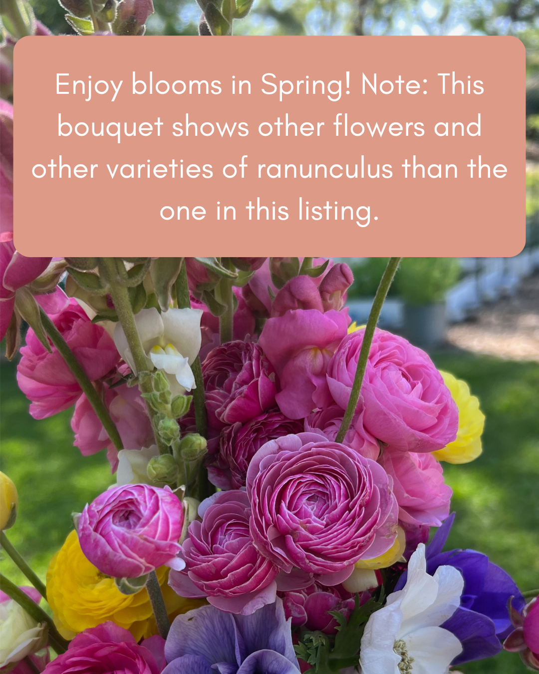 Blooms.png (Copy) (Copy) (Copy)