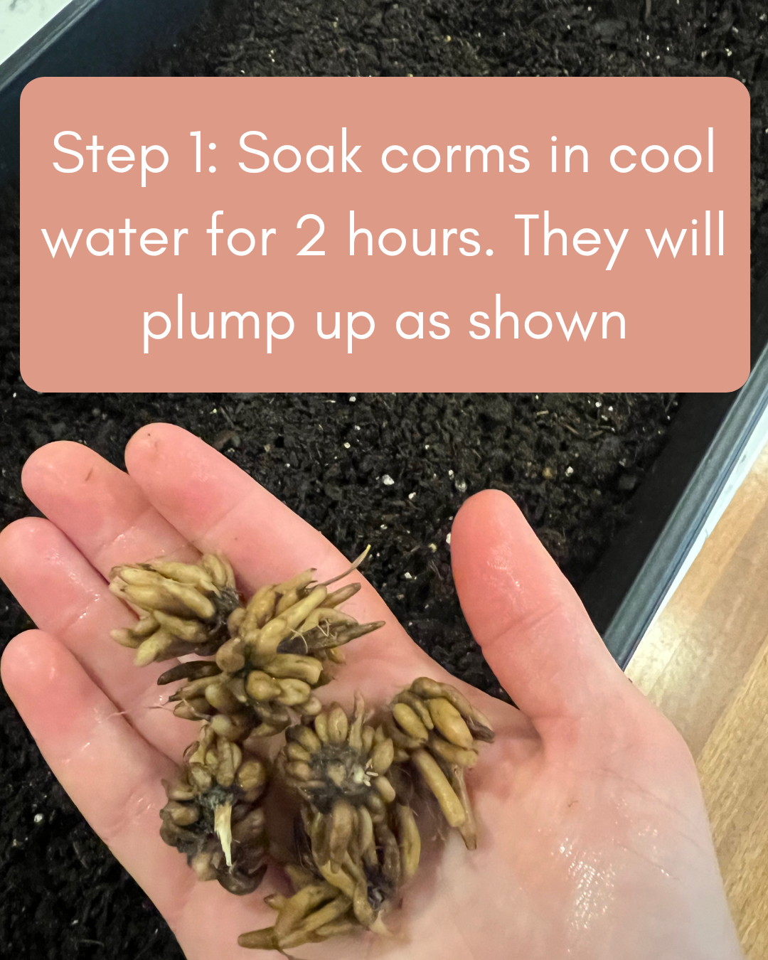 Step 1 Soak.png (Copy) (Copy) (Copy)