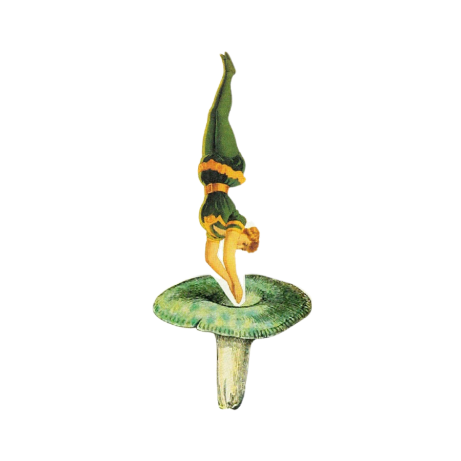 Mushrooms FAQ