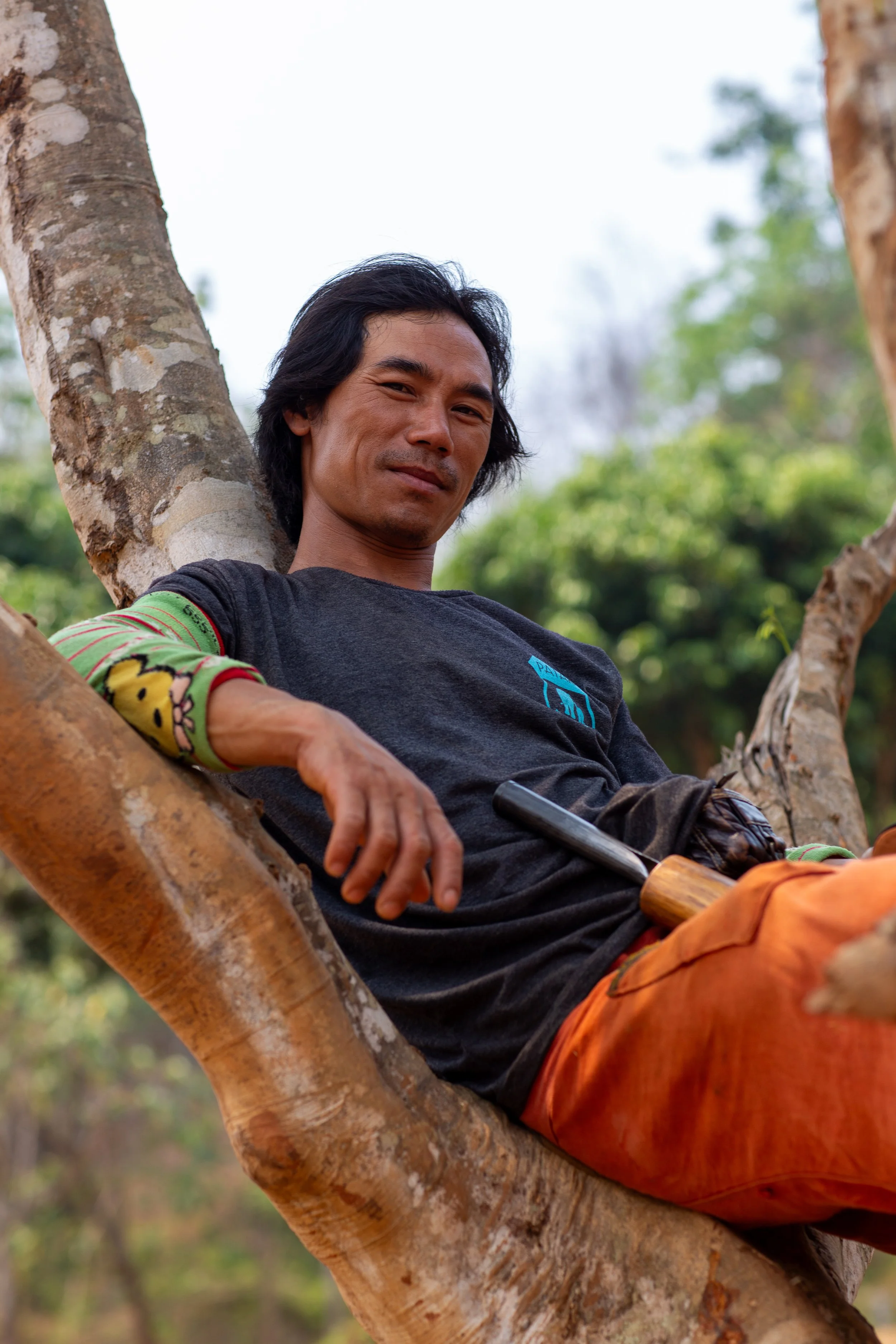 chiang mai elephant man in tree.jpg