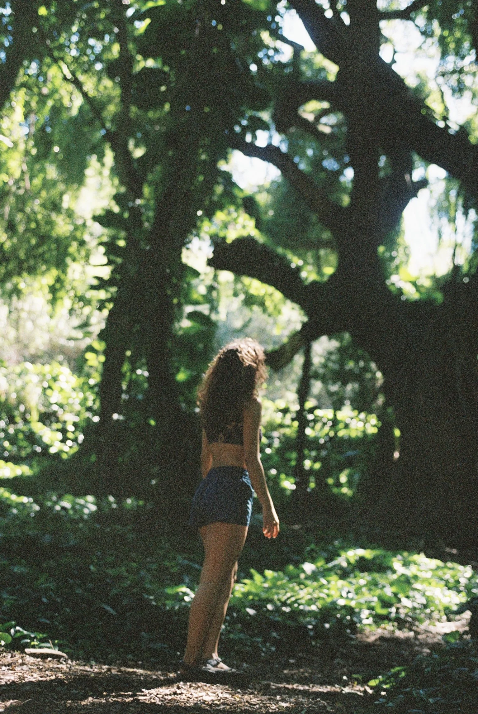 EB956150-916A-4986-8D87-4C9AE8C25FCA_1_201_a.jpeg