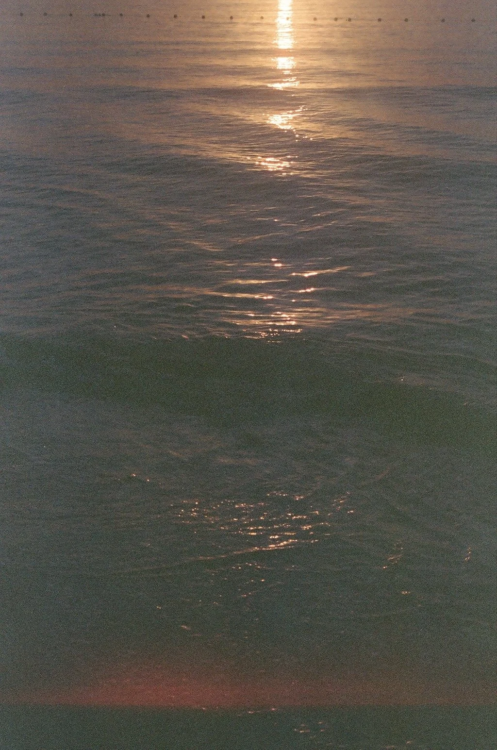 4C63CF6A-C6B5-4082-B7F8-ED6B841B60E6_1_201_a.jpeg