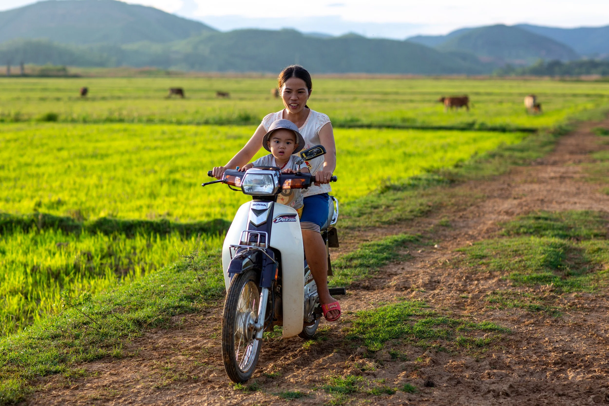 phong nha baby drive bike.jpg