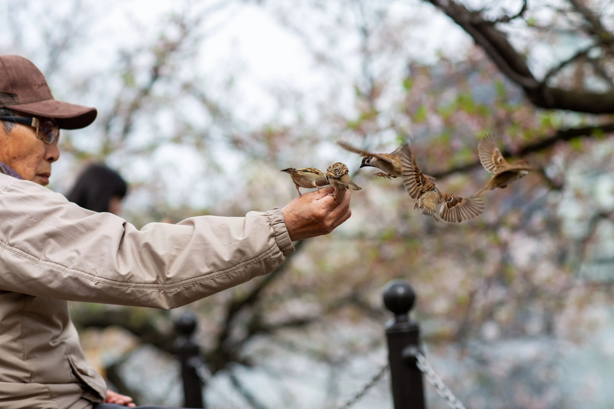 tokyo bird man swoosh.jpg