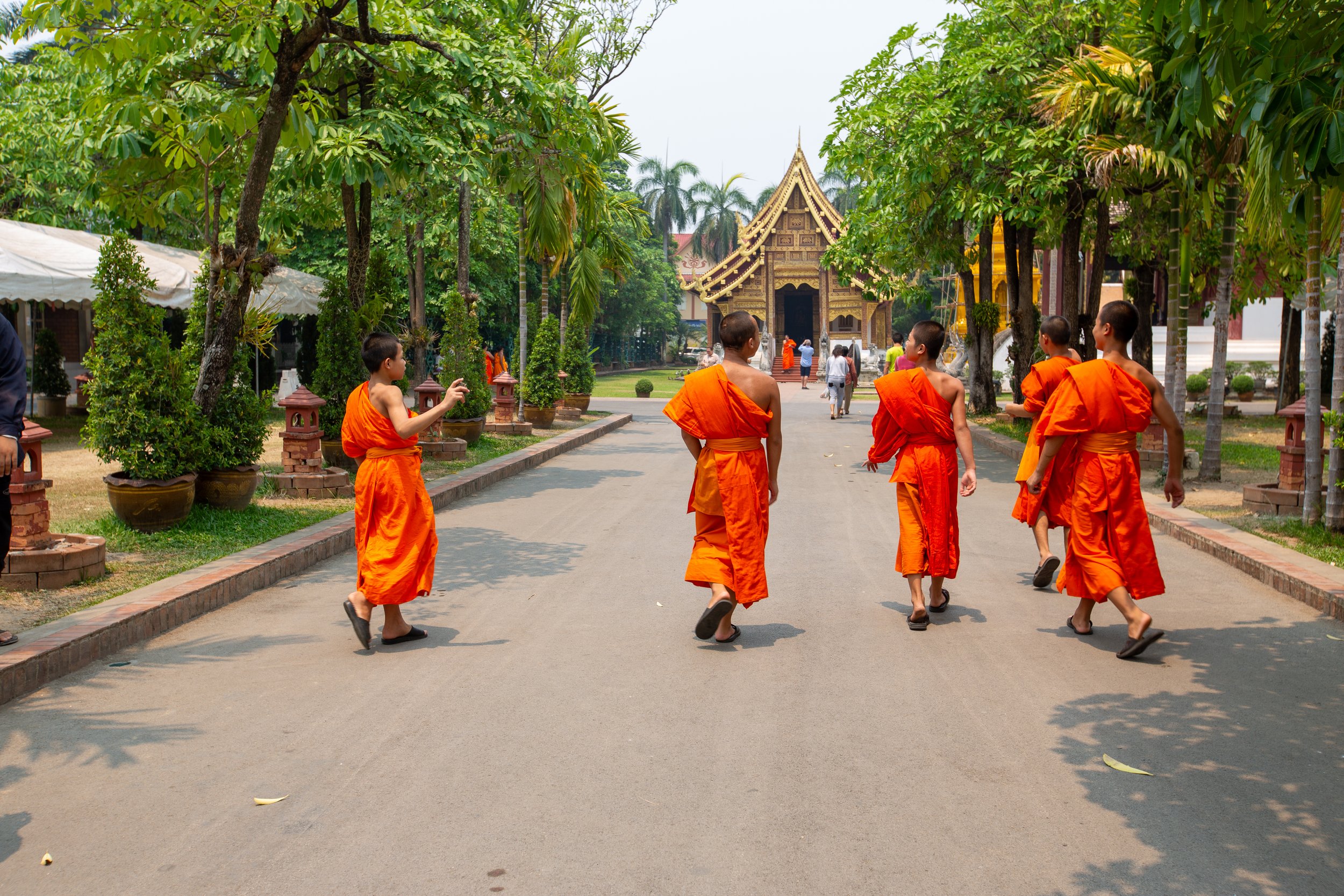 chiang mai young monks.jpg