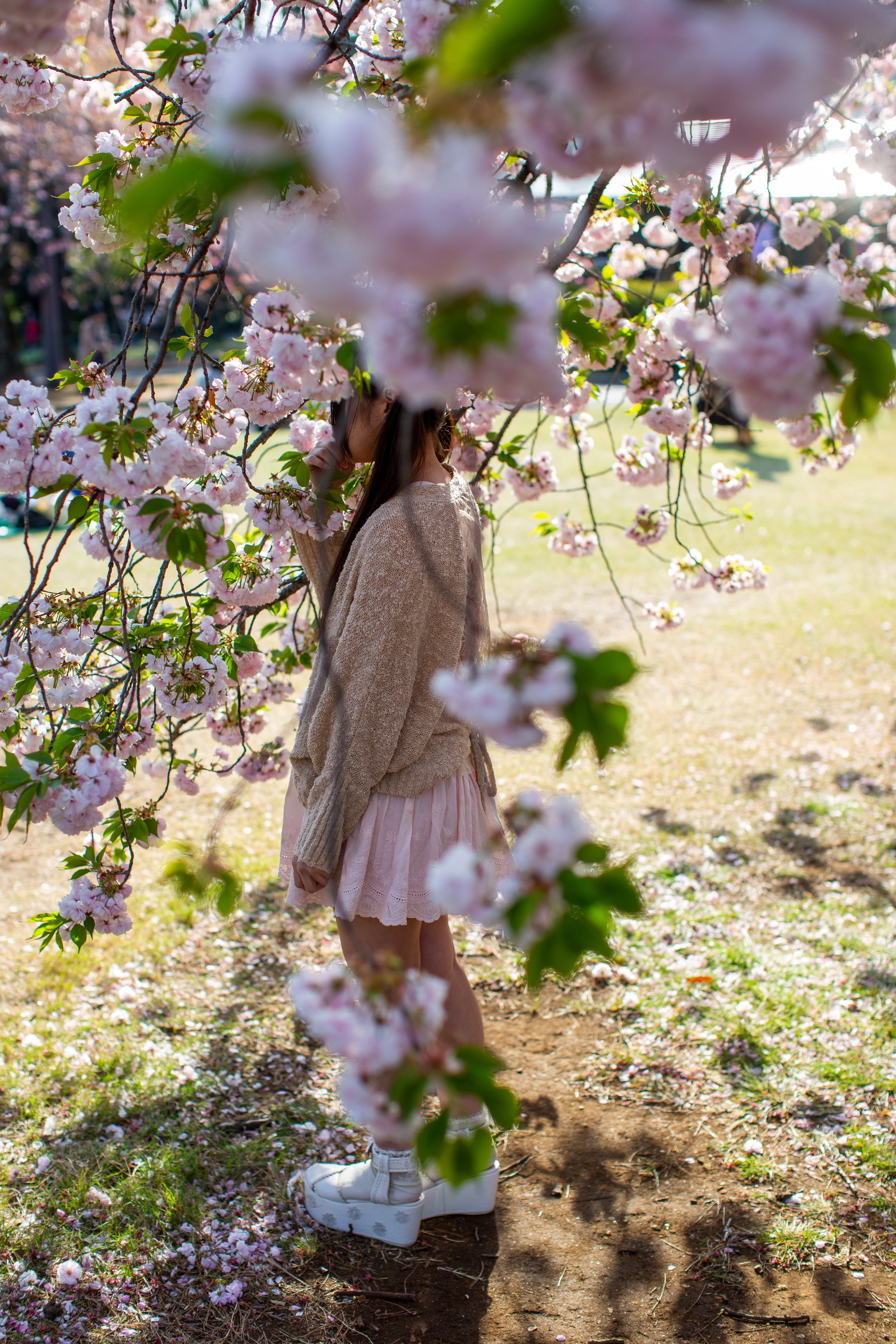 tokyo sakura tree girl.jpg
