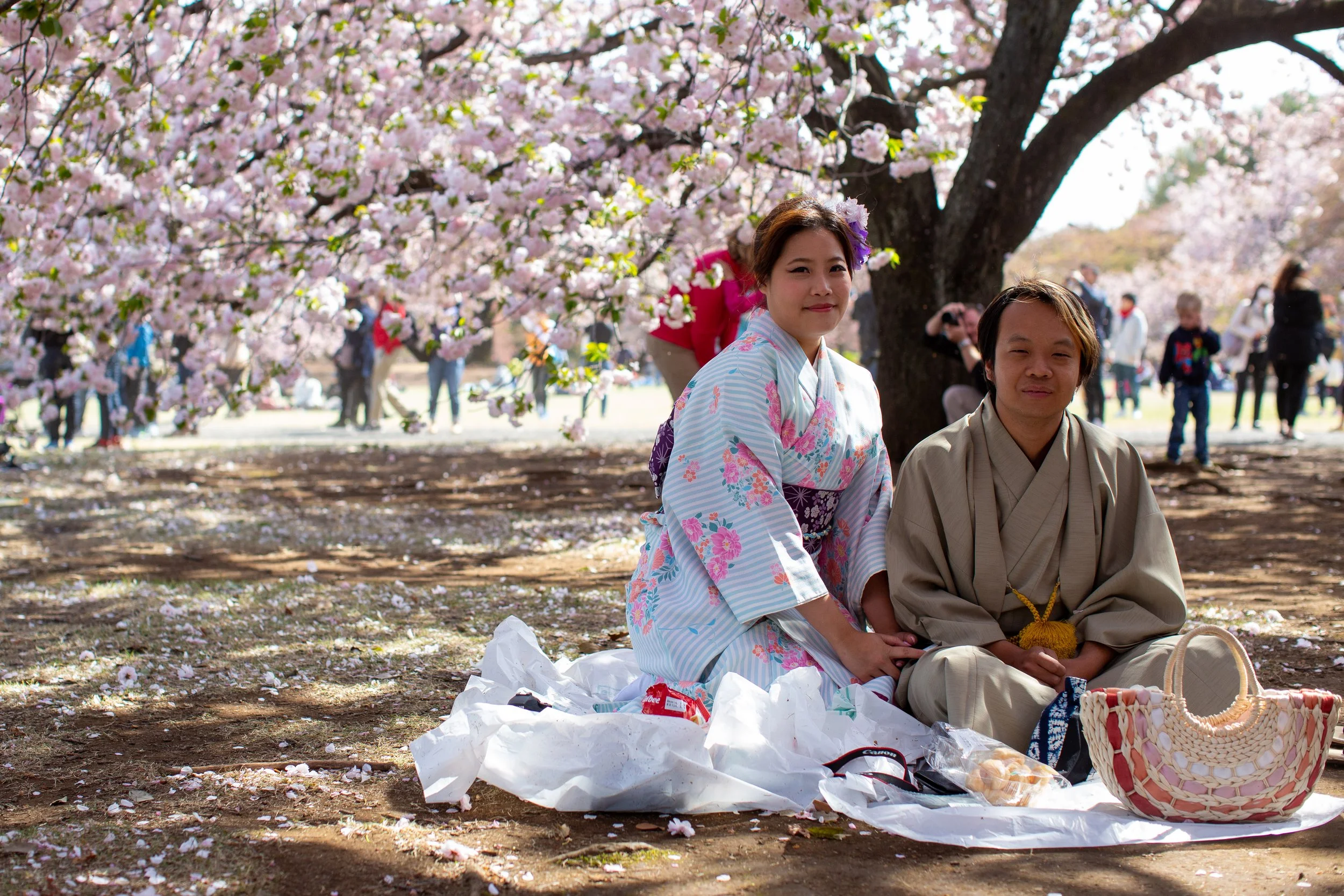 tokyo sakura couple.jpg