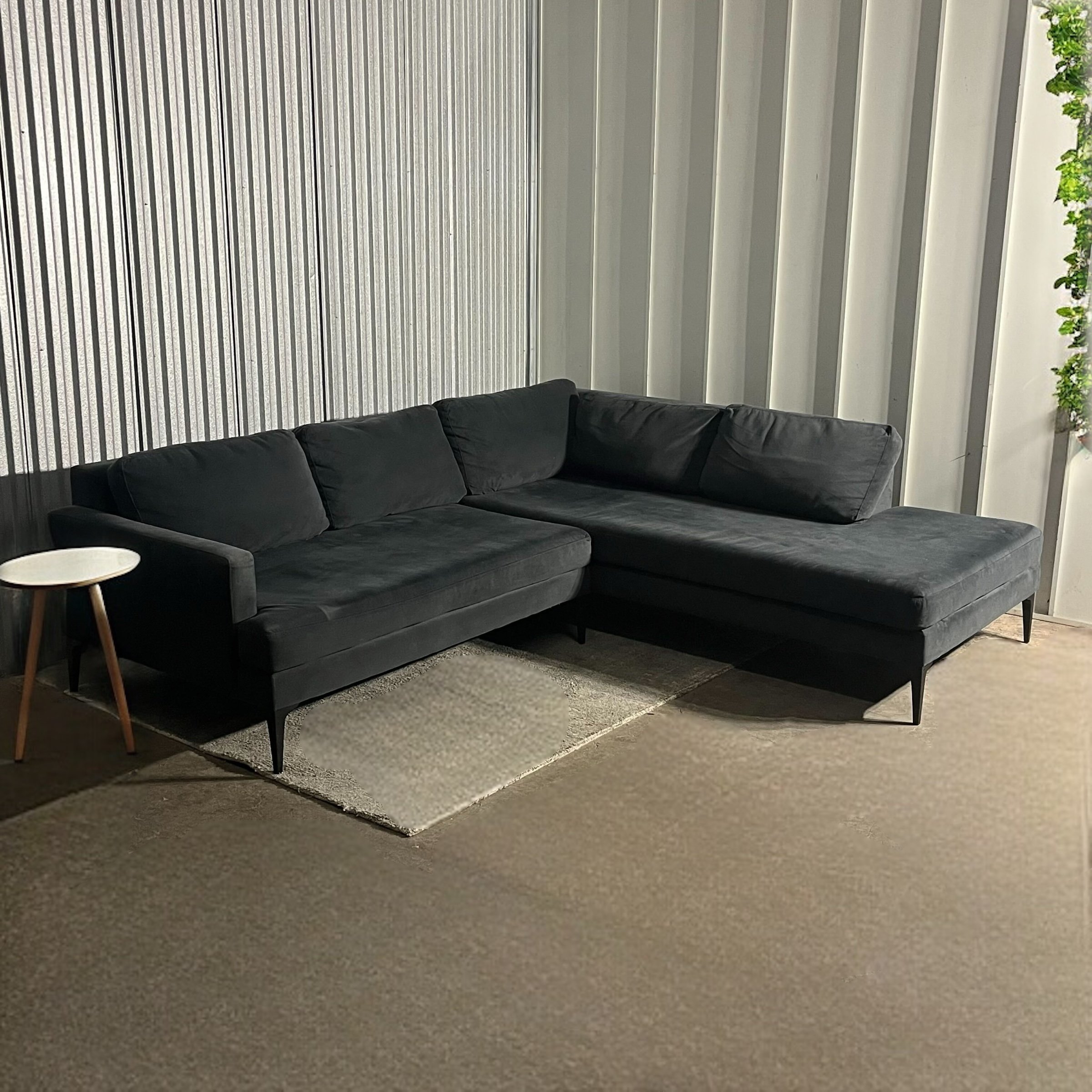 Photoroom_20250129_163231.jpg