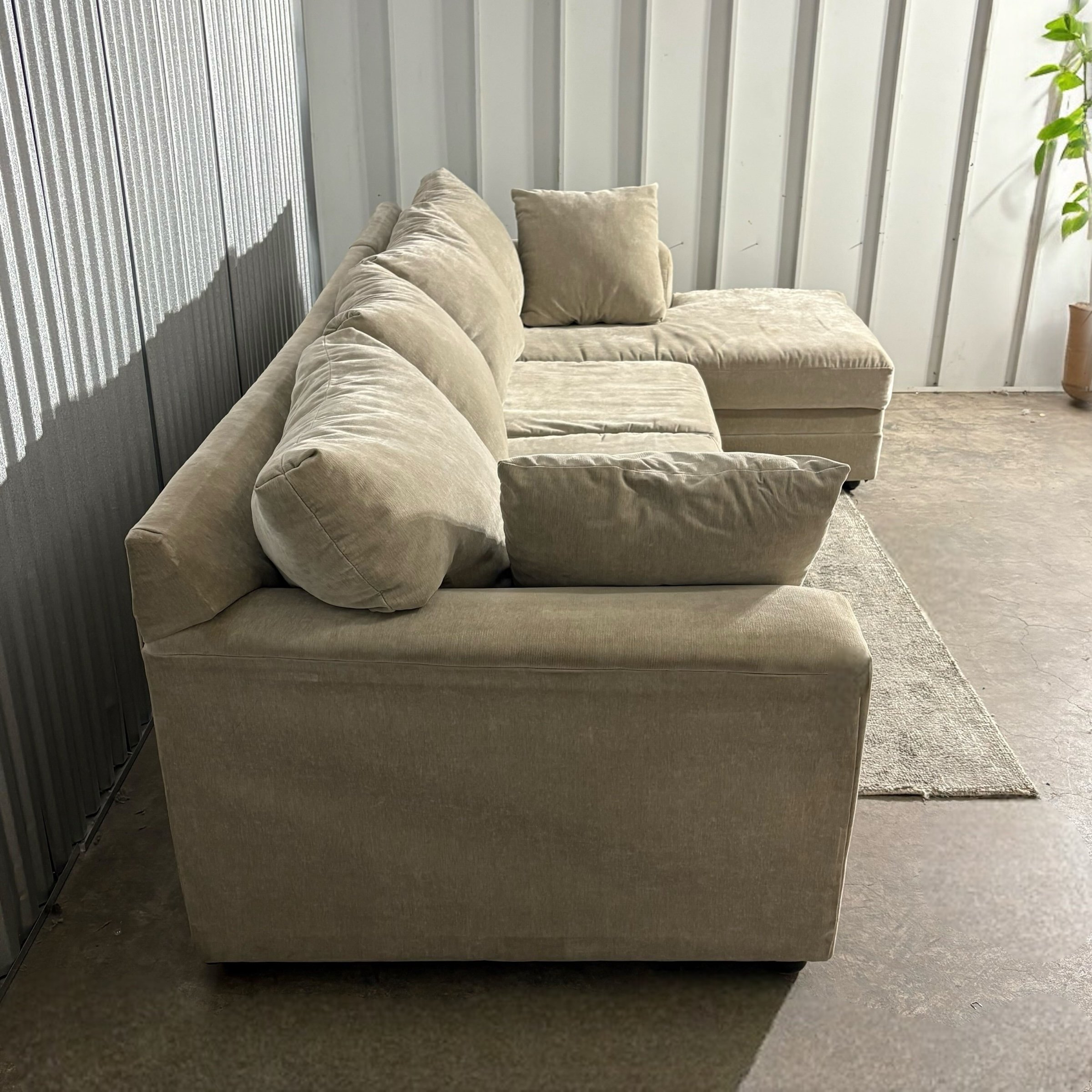 Photoroom_20250223_204331.jpg