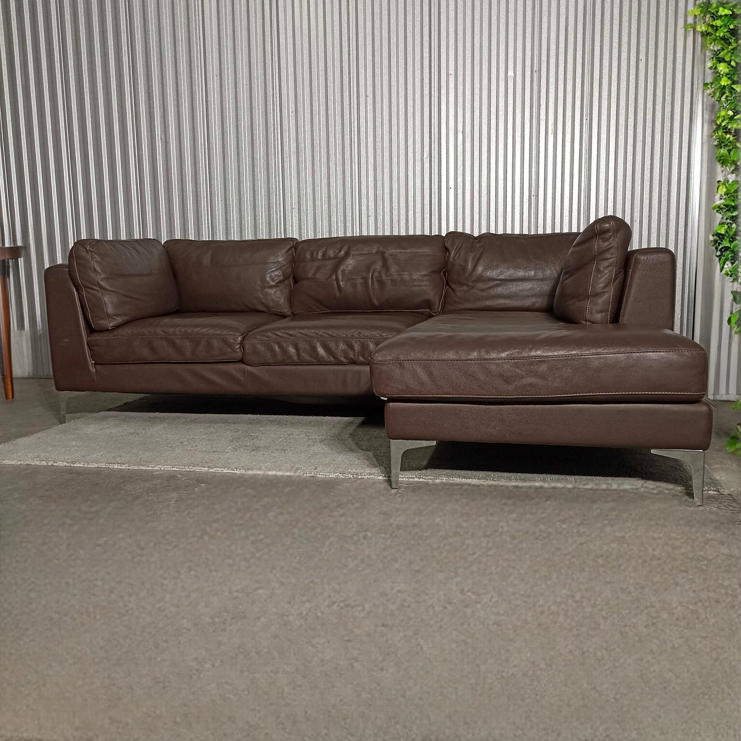 Photoroom_20250207_160951.jpg