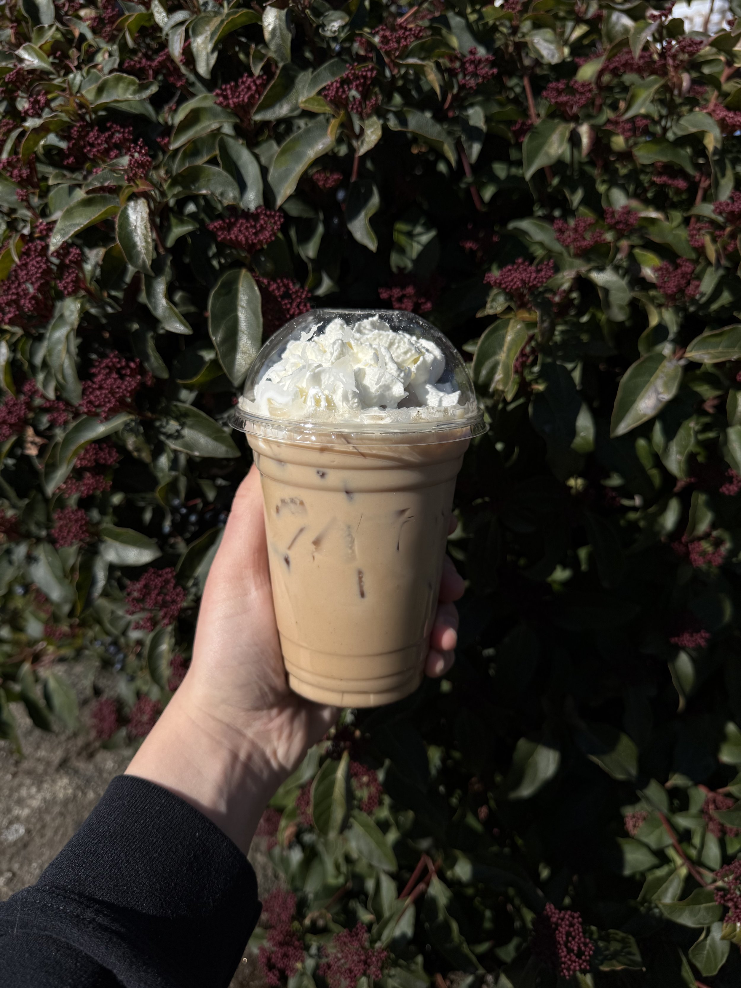 Rebelz Coffee House Blend