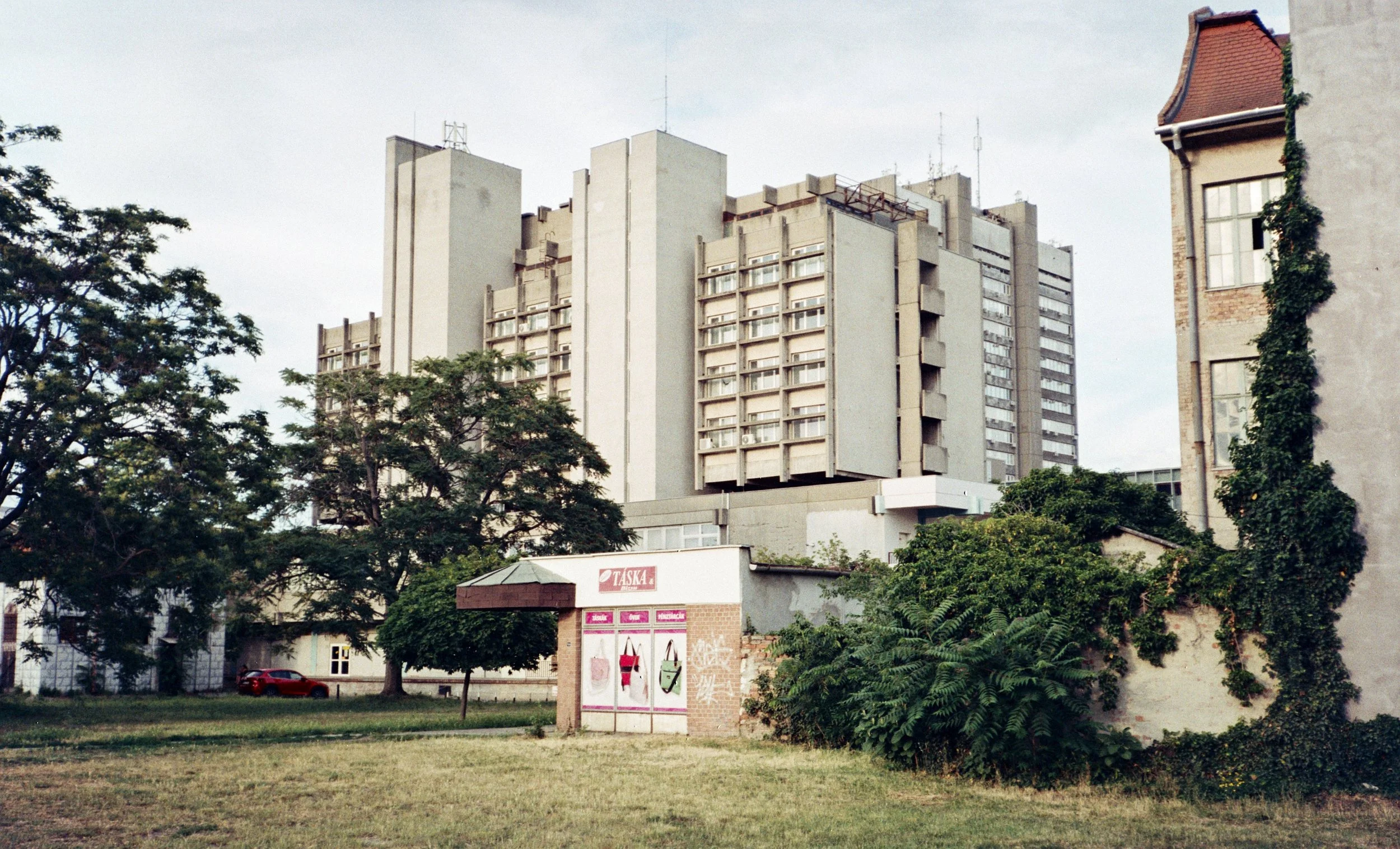 dmks-5.jpg