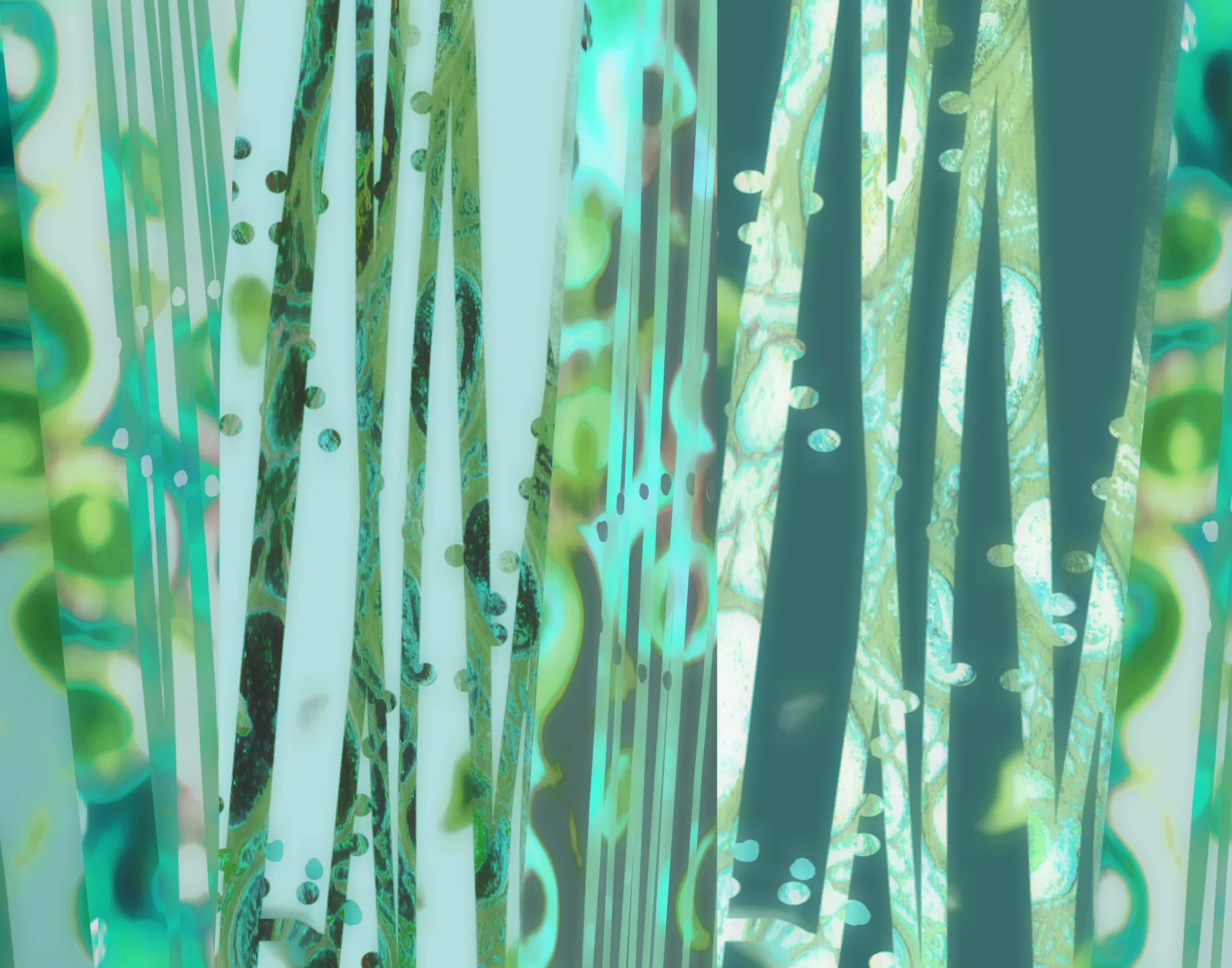 Zen Reeds Vlla Horiz 11_14 thumbnail web.jpg