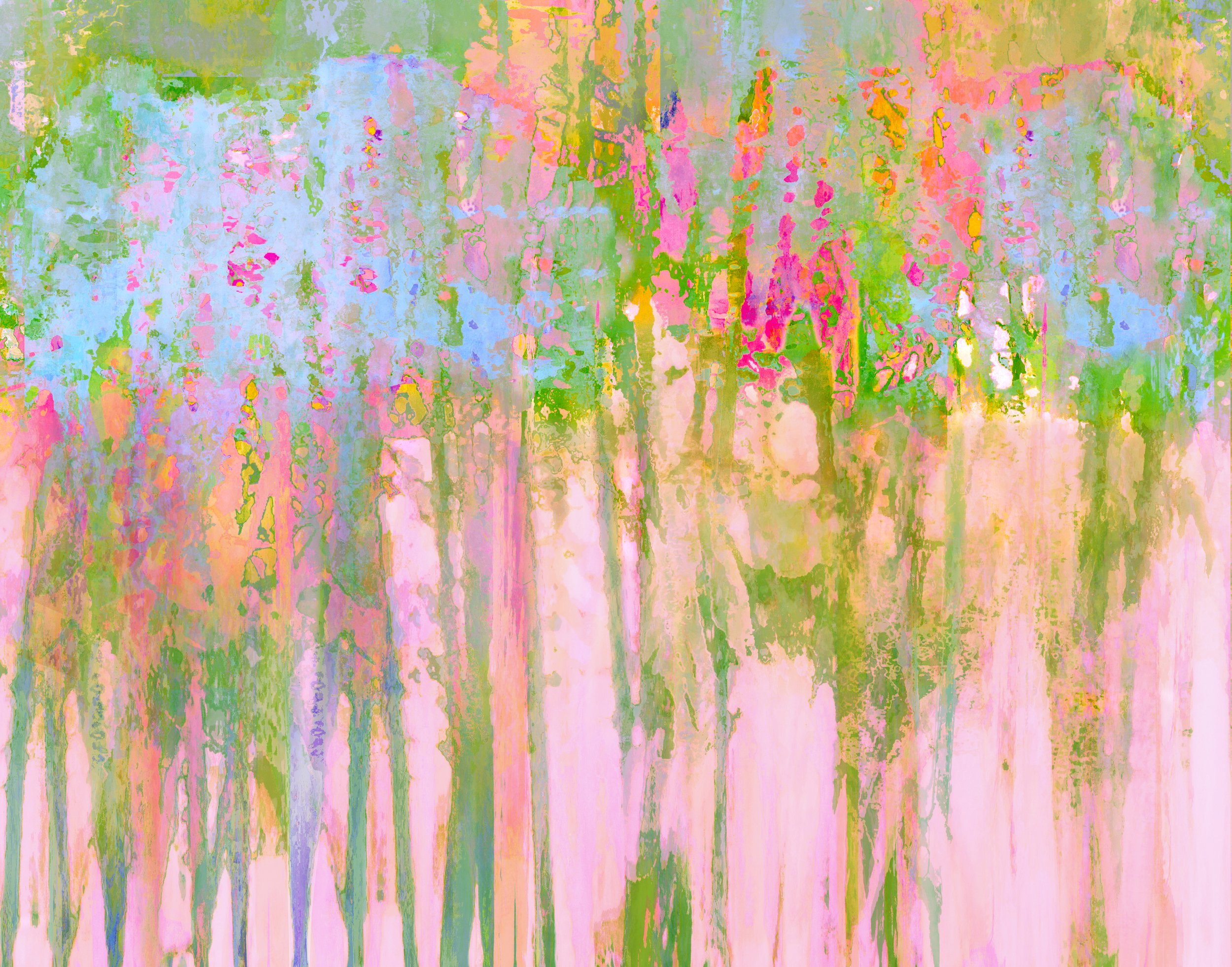 ********Peacock Trees Vllb dk Horiz 11_14 thumbnail.jpg