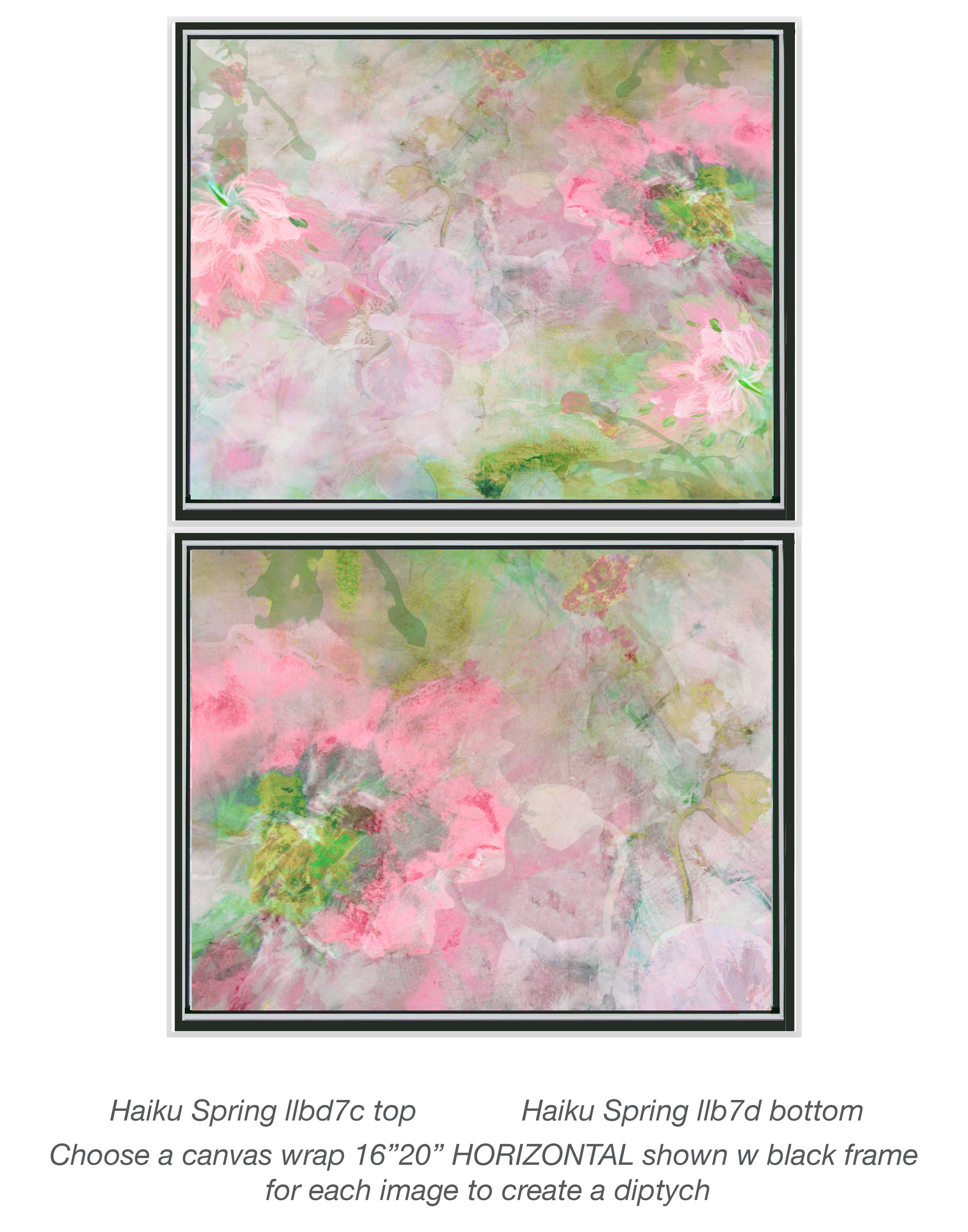 ********Haiku Spring llb7d_llbd7c 11_14 b frame HORIZONTAL thumbnail.jpg