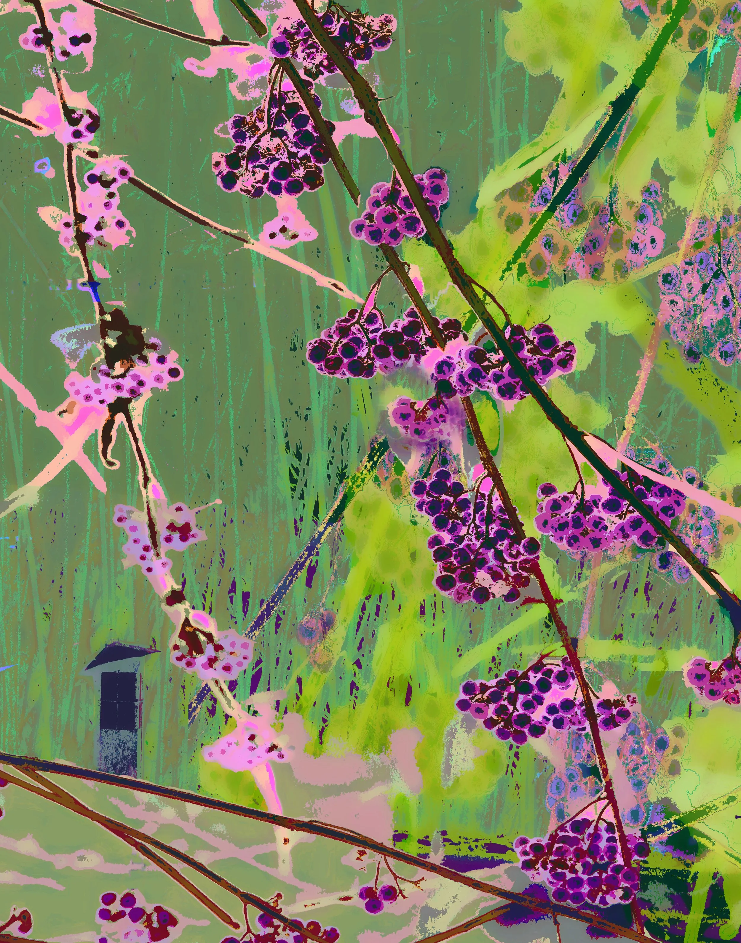 Bamboo w Cherry Blossom IV4b Vert 11_14 thumbnail web.jpg