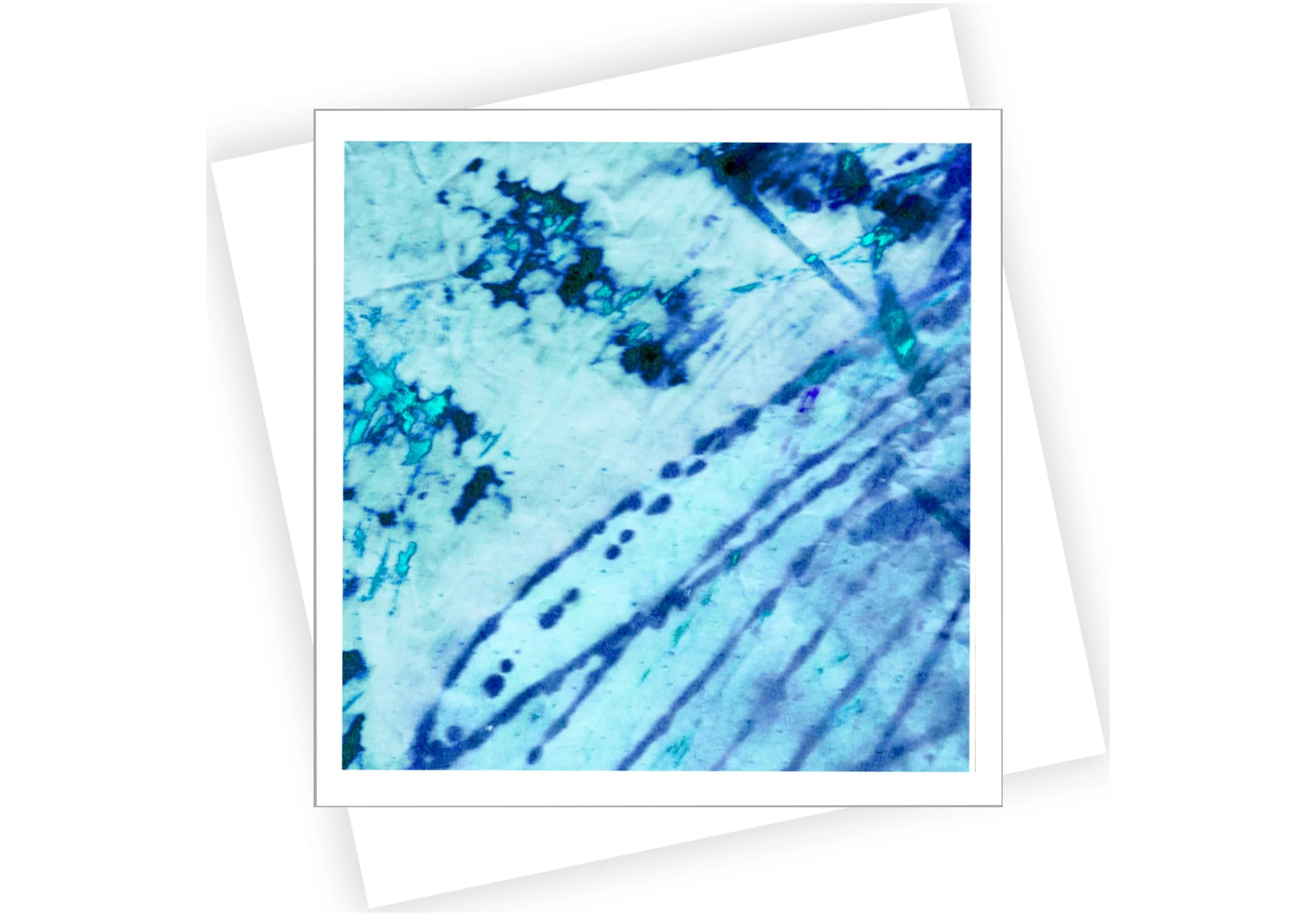Shibori Vb sq n NEW size_2025.jpg