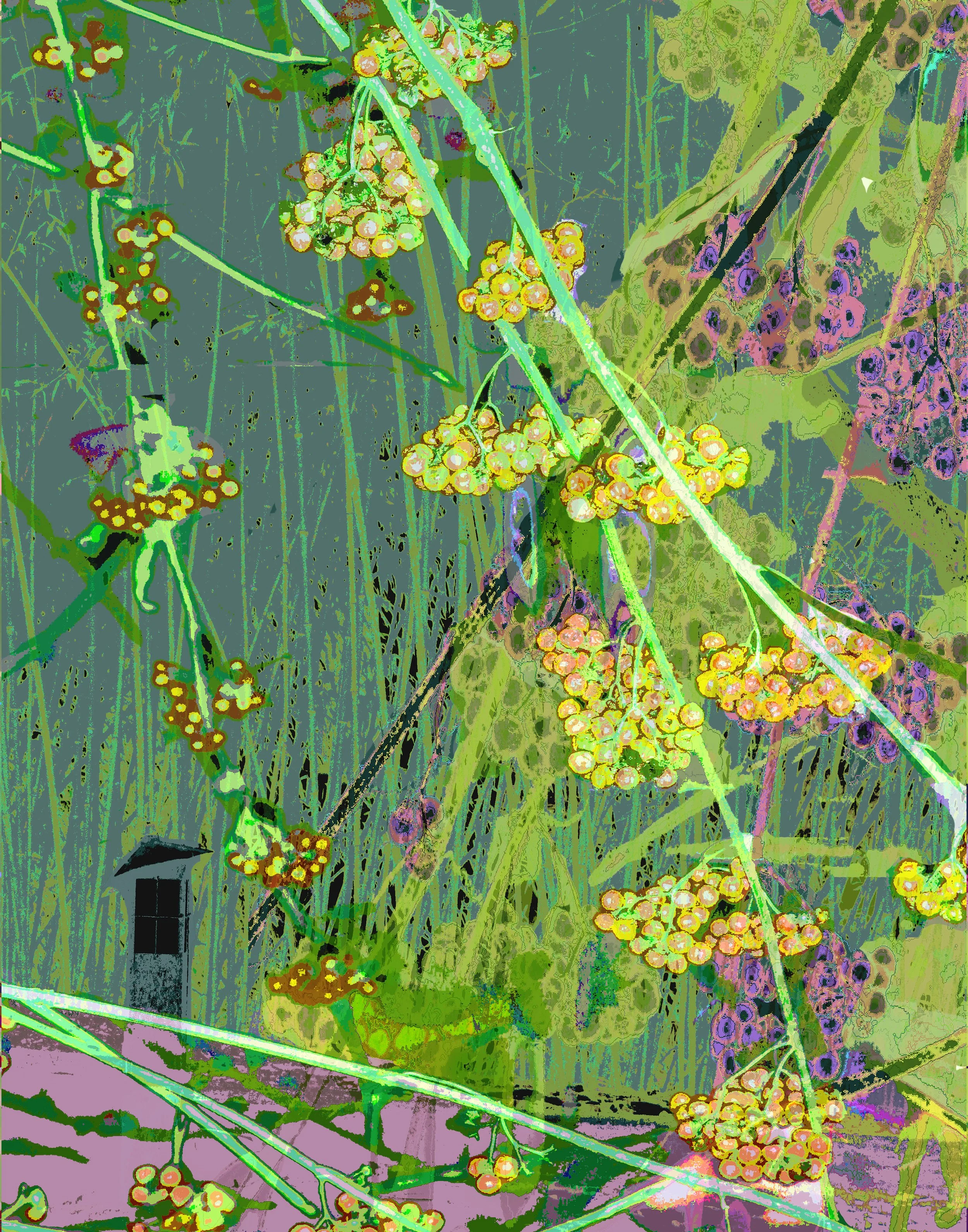 Bamboo w Cherry Blossom lVb2 11_14 thumbnail web.jpg