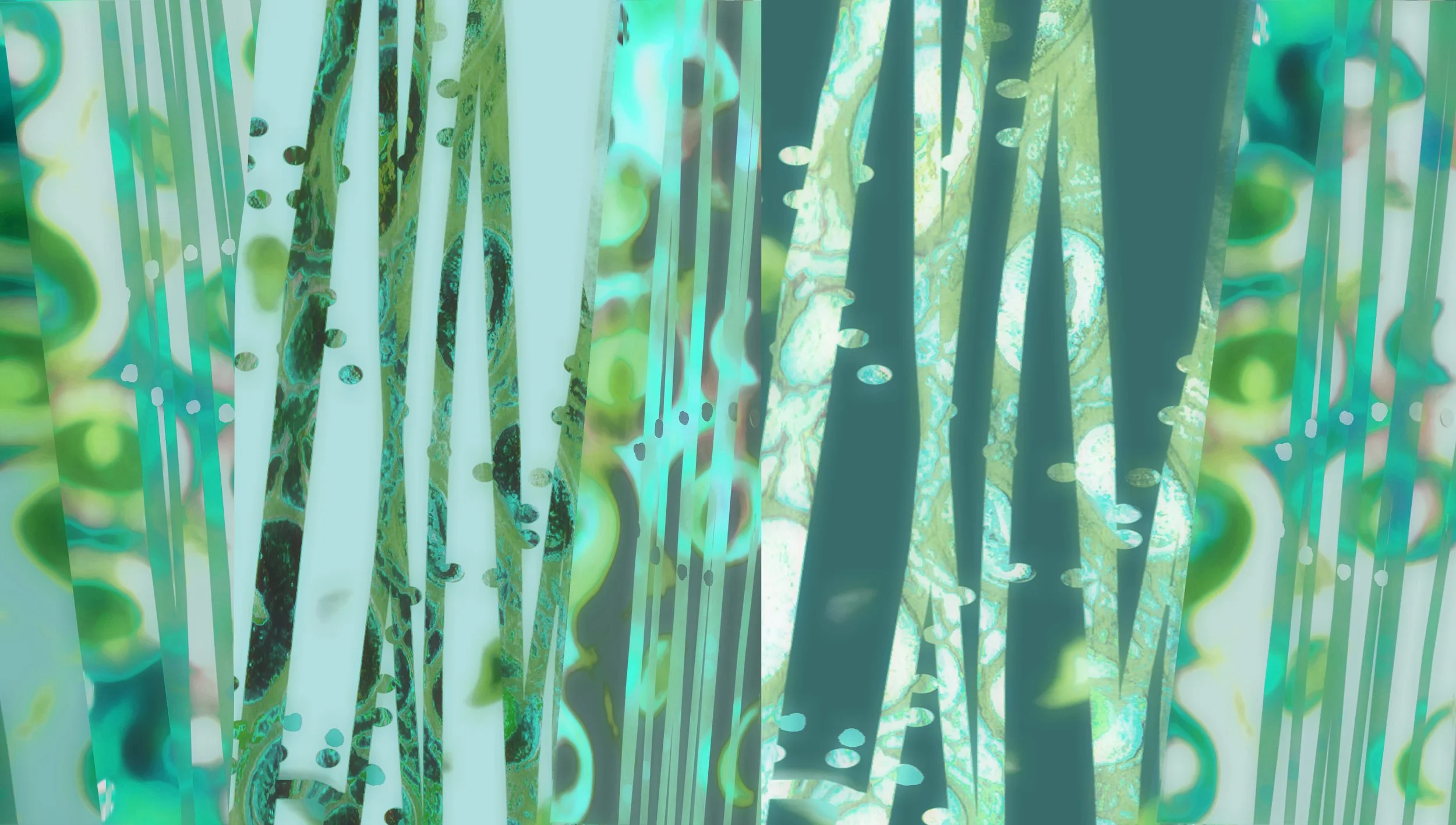 Zen Reeds Vlla_NEW 2025.jpg