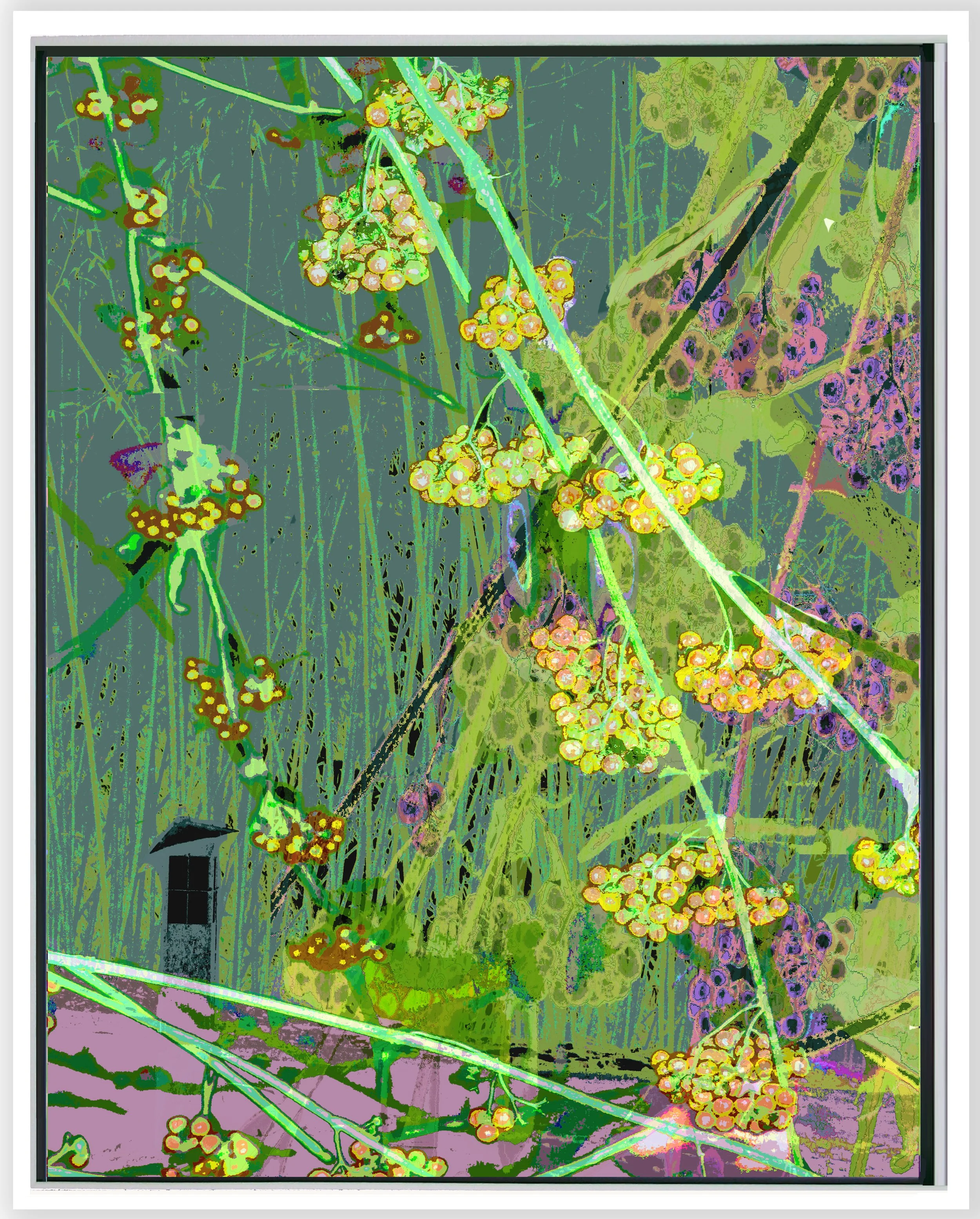 Bamboo w Cherry Blossom lVb2 Vert w Frame w shadow 11_14 web_2025.jpg