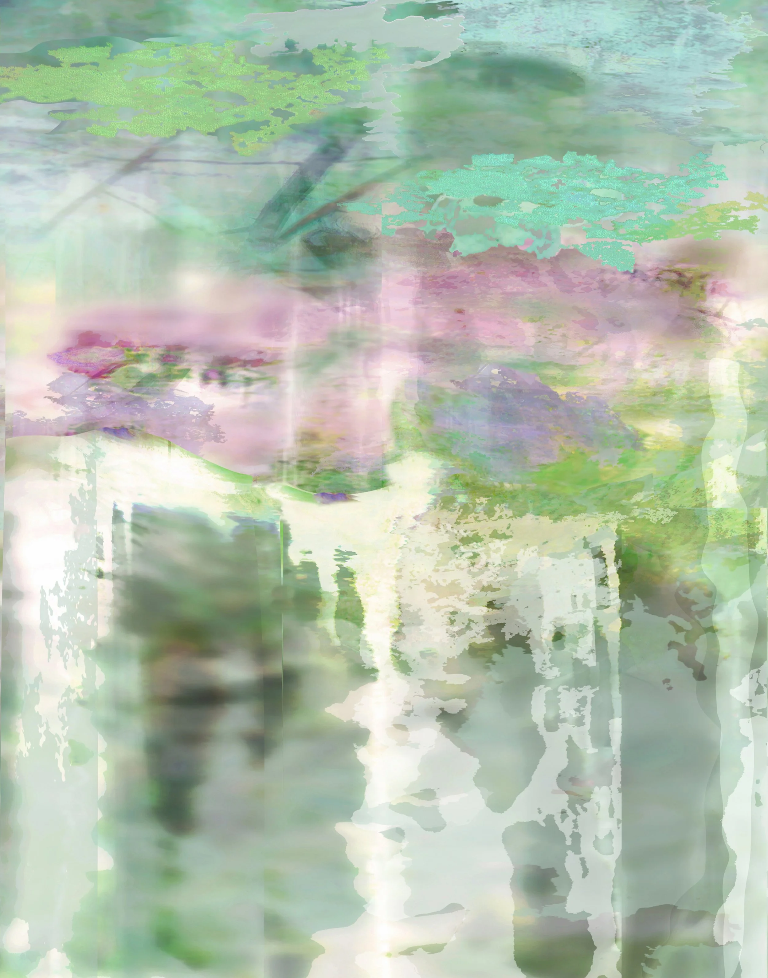 Koi w Sakura Waterfall l d2b