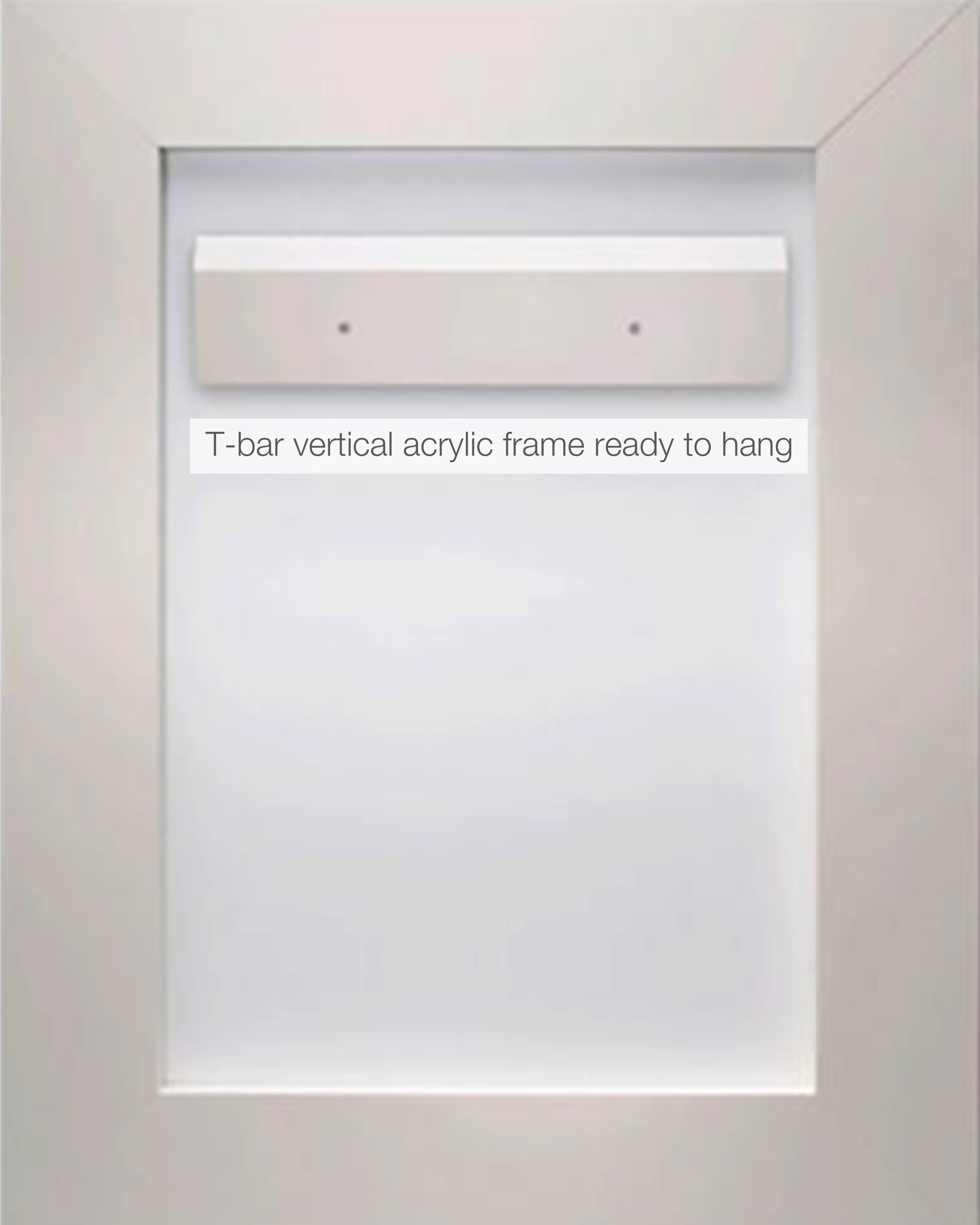 *SRA T-bar vertical mounting back image website llg.jpg