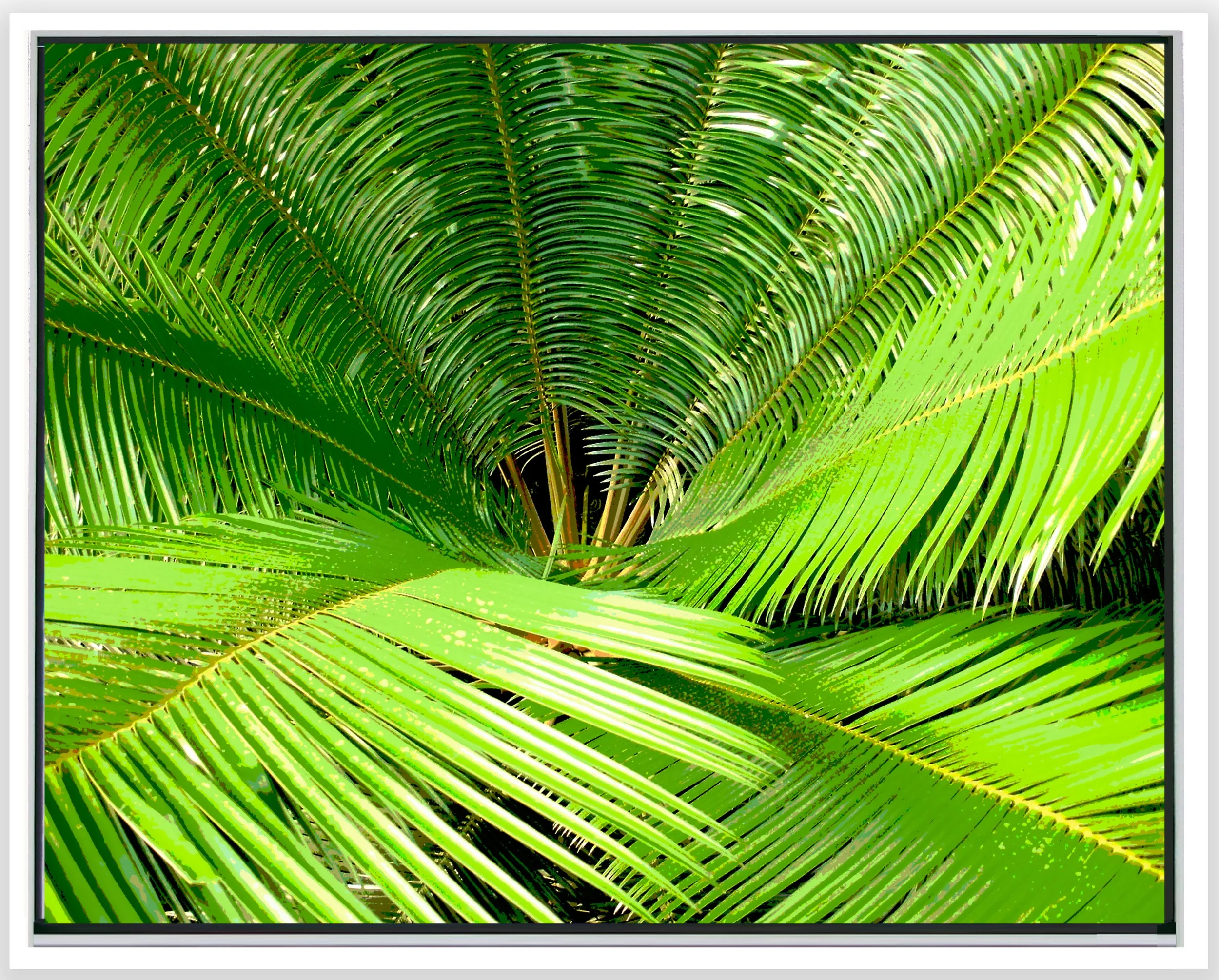 Nature Xb Horiz w Frame w shadow 11_14 web_2025.jpg