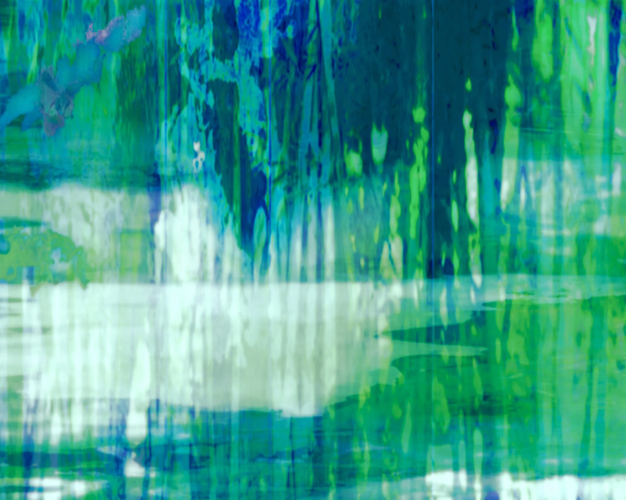 *Bamboo Vlld w water reflection_11_14_16_20 thumb website.jpg