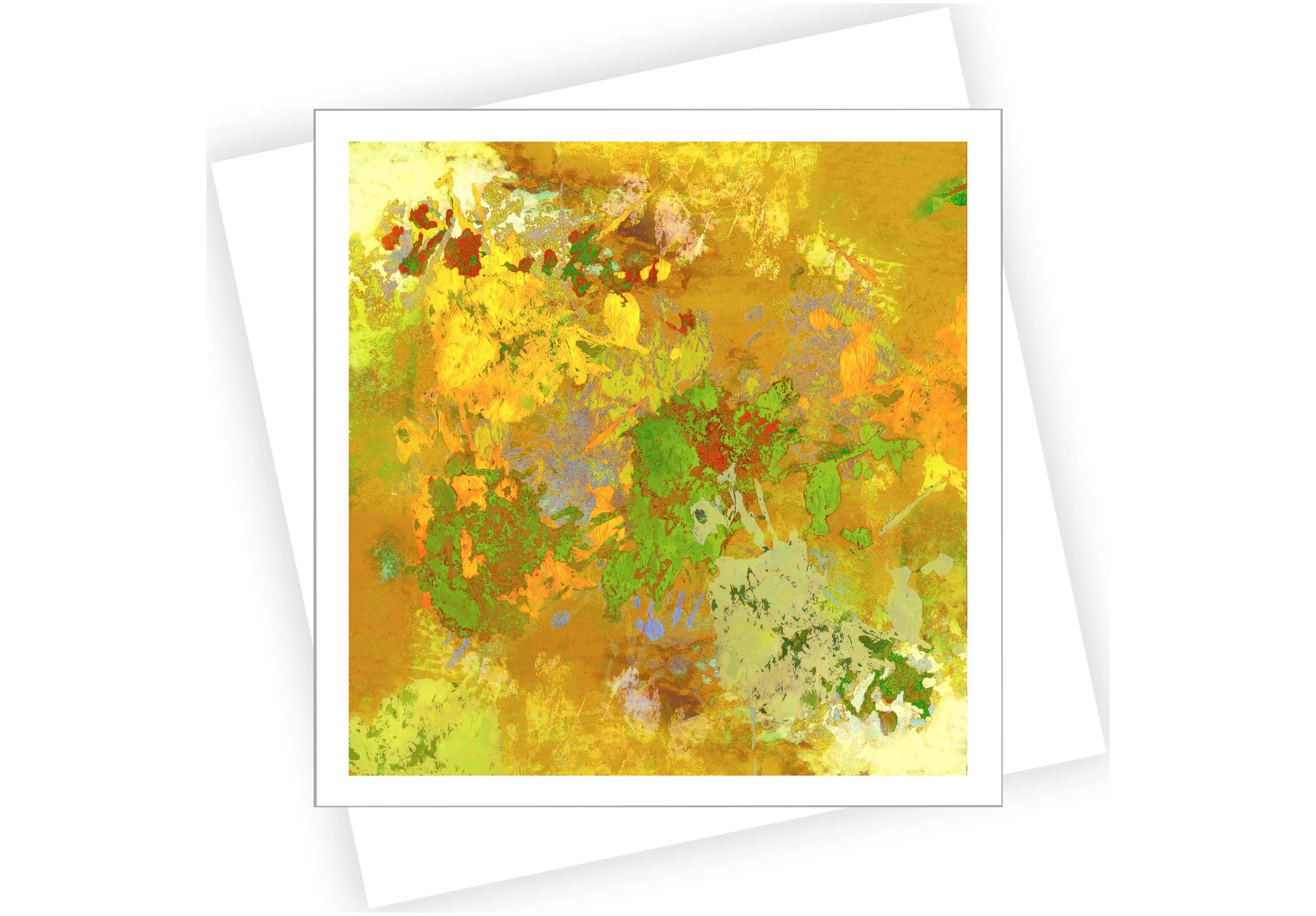 Impressions VX sq n NEW size_2025.jpg
