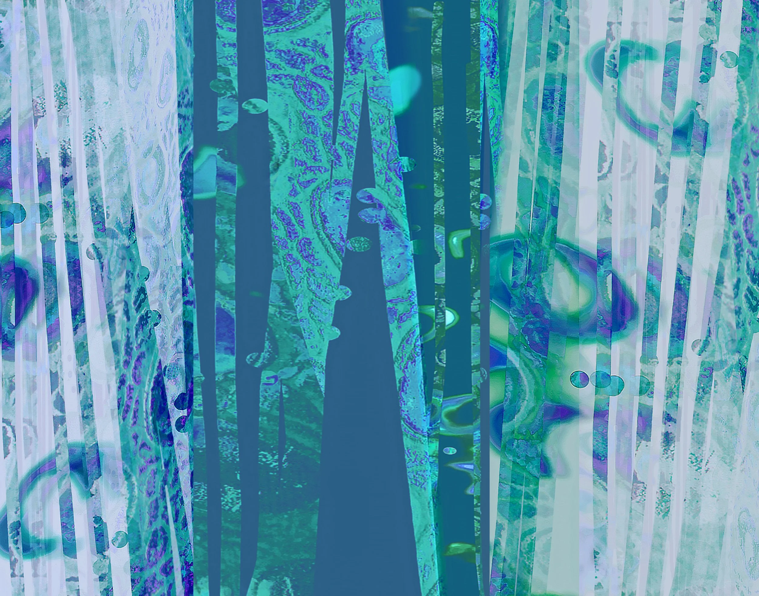Zen Reeds Ca NEW Horiz 11_14 thumbnail web_2025.jpg
