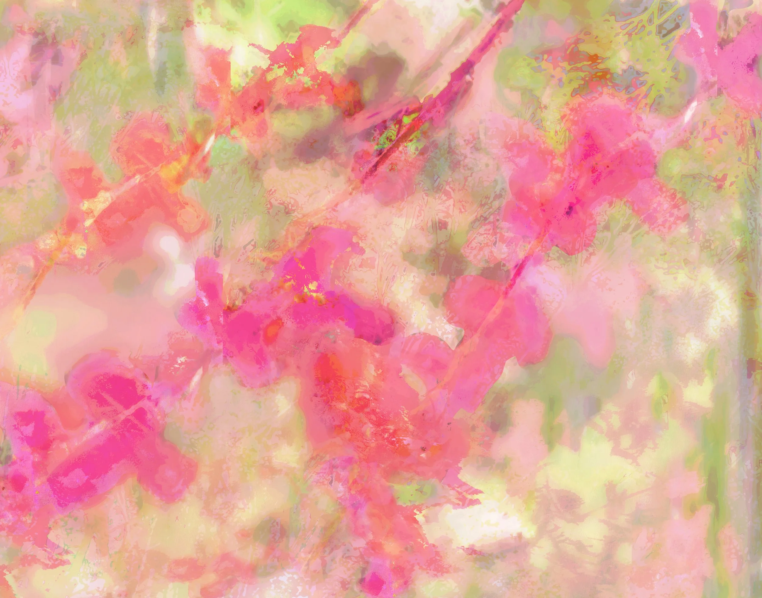 Cherry Blossoms Vllp2c Horiz 11_14 thumbnail web.jpg
