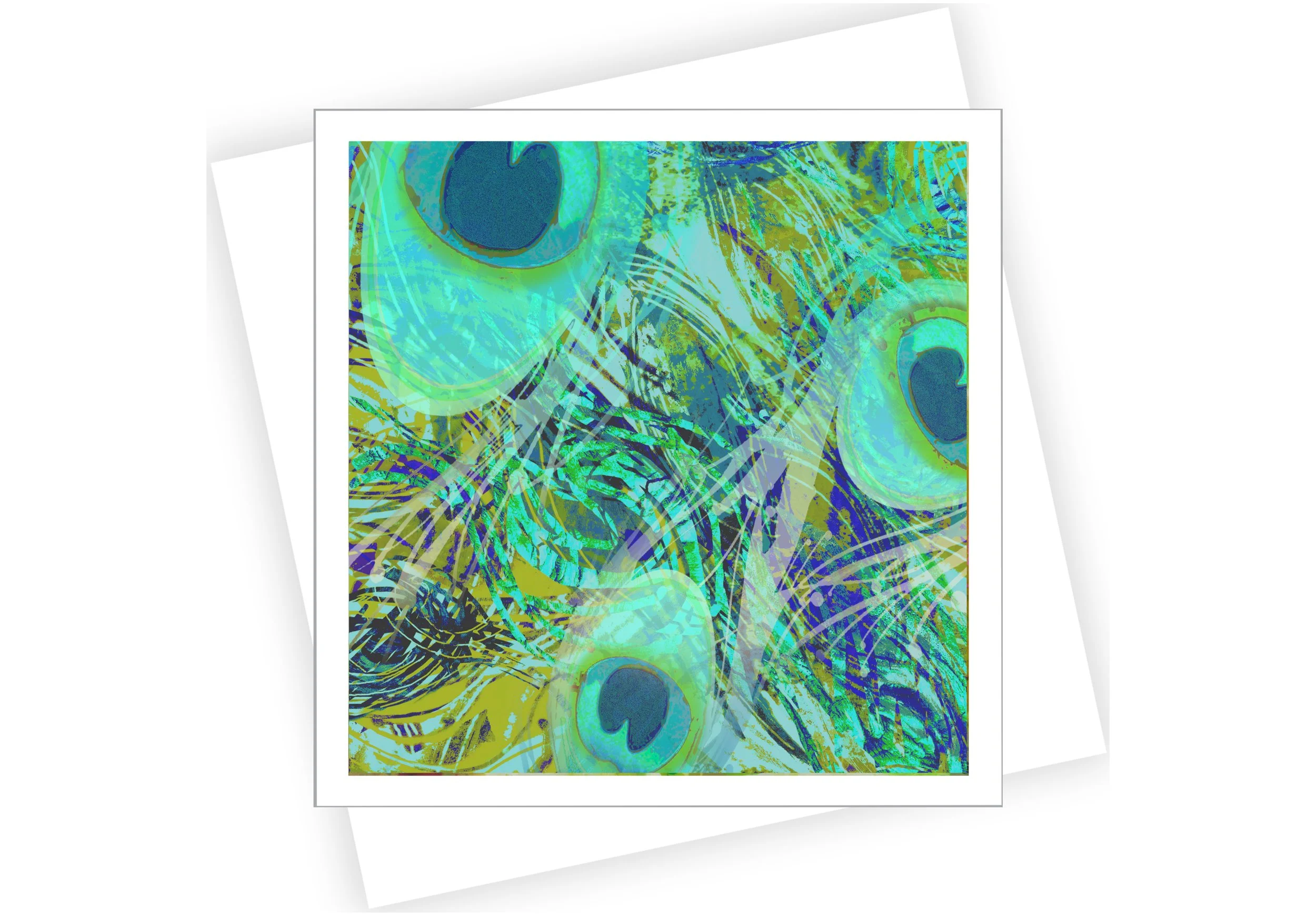 Peacock XVa sq n NEW size_2025.jpg
