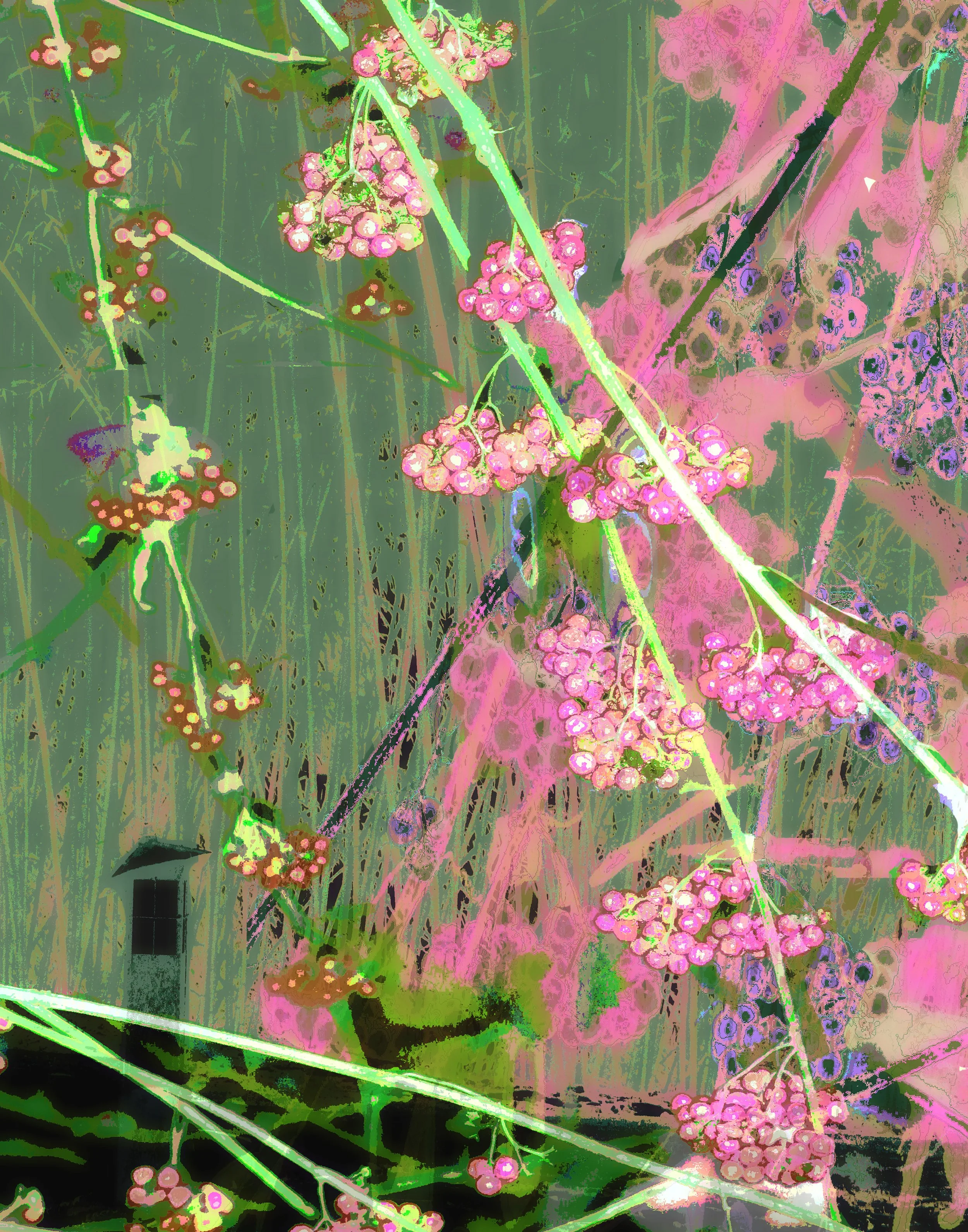 Bamboo w Cherry Blossoms lVd lite 11_14 thumbnail web.jpg