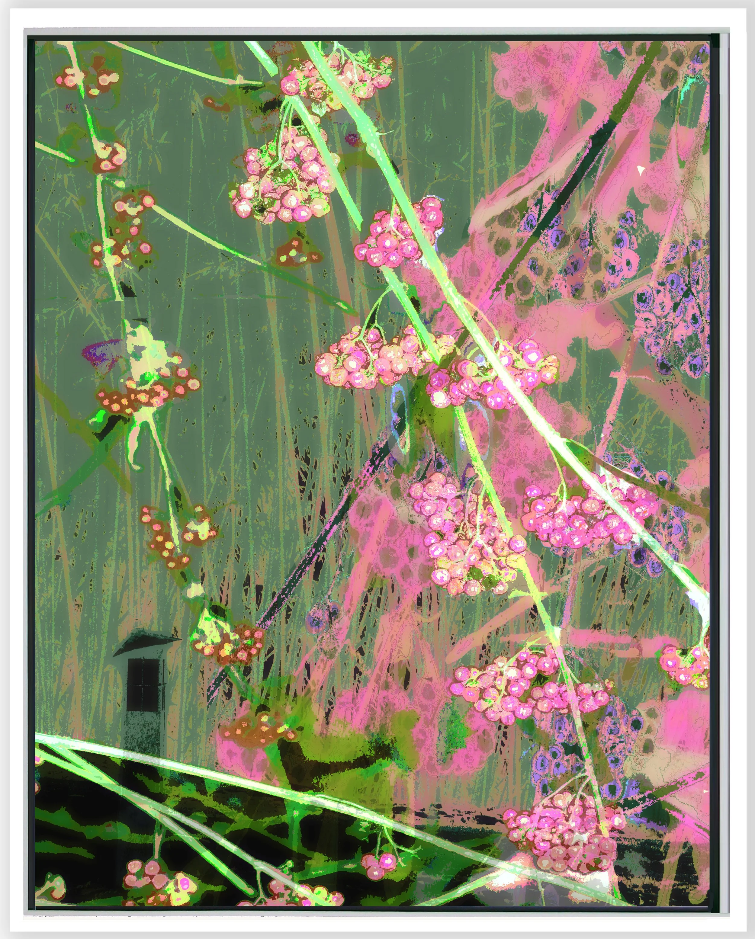 Bamboo w Cherry Blossoms lVd lite vert w Frame w shadow 11_14 web_2025.jpg