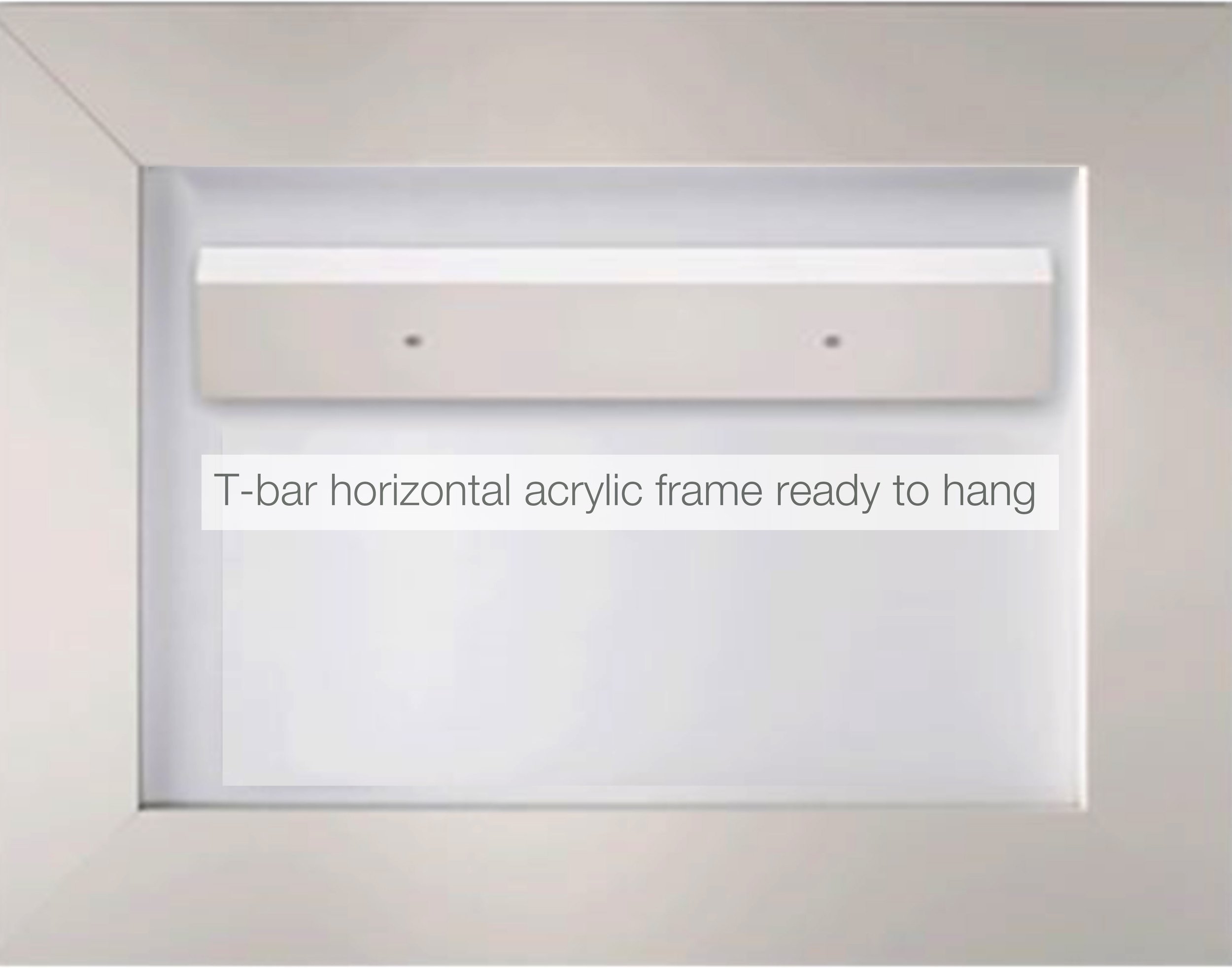 *SRA T-bar horizontal mounting back image website lg.jpg