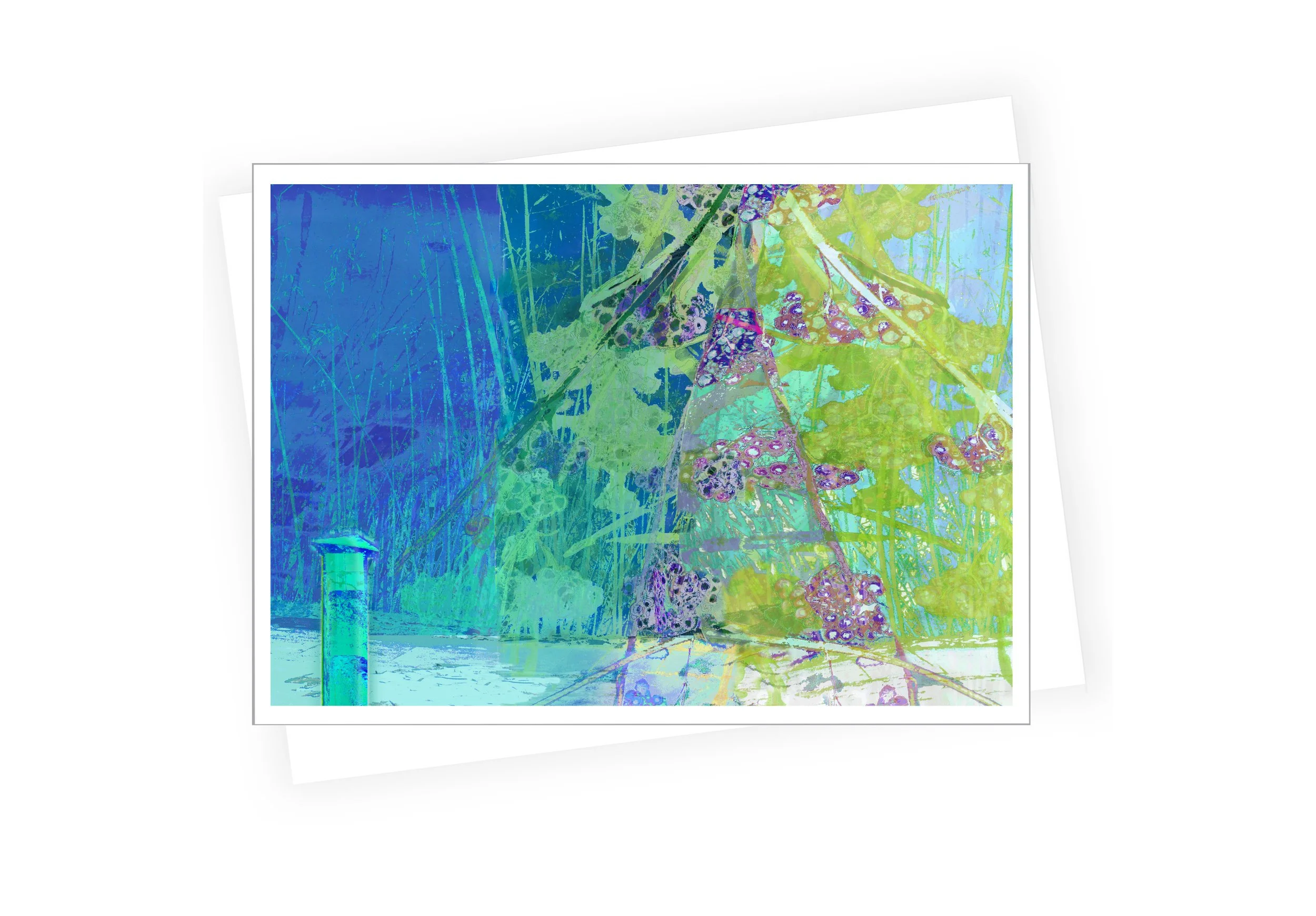 Bamboo w Cherry Blossoms c n horiz 5_7 NEW size_2025.jpg