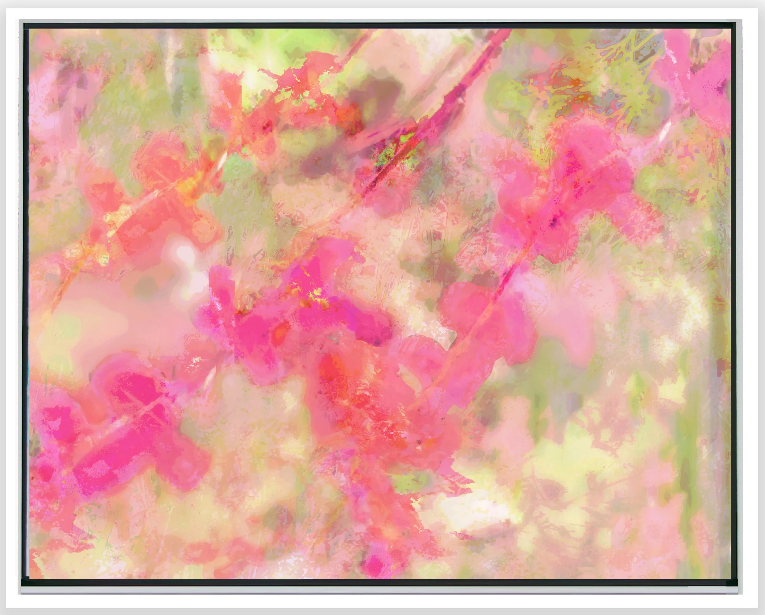 Cherry Blossoms Vllp2c Horiz w Frame w shadow 11_14 web_2025.jpg