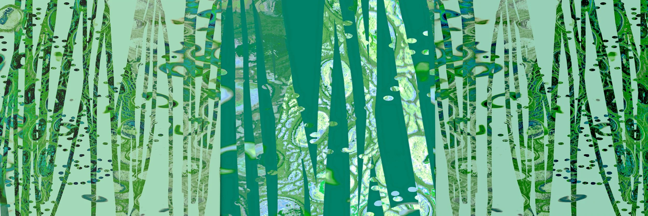 Zen Reeds e 2025.jpg