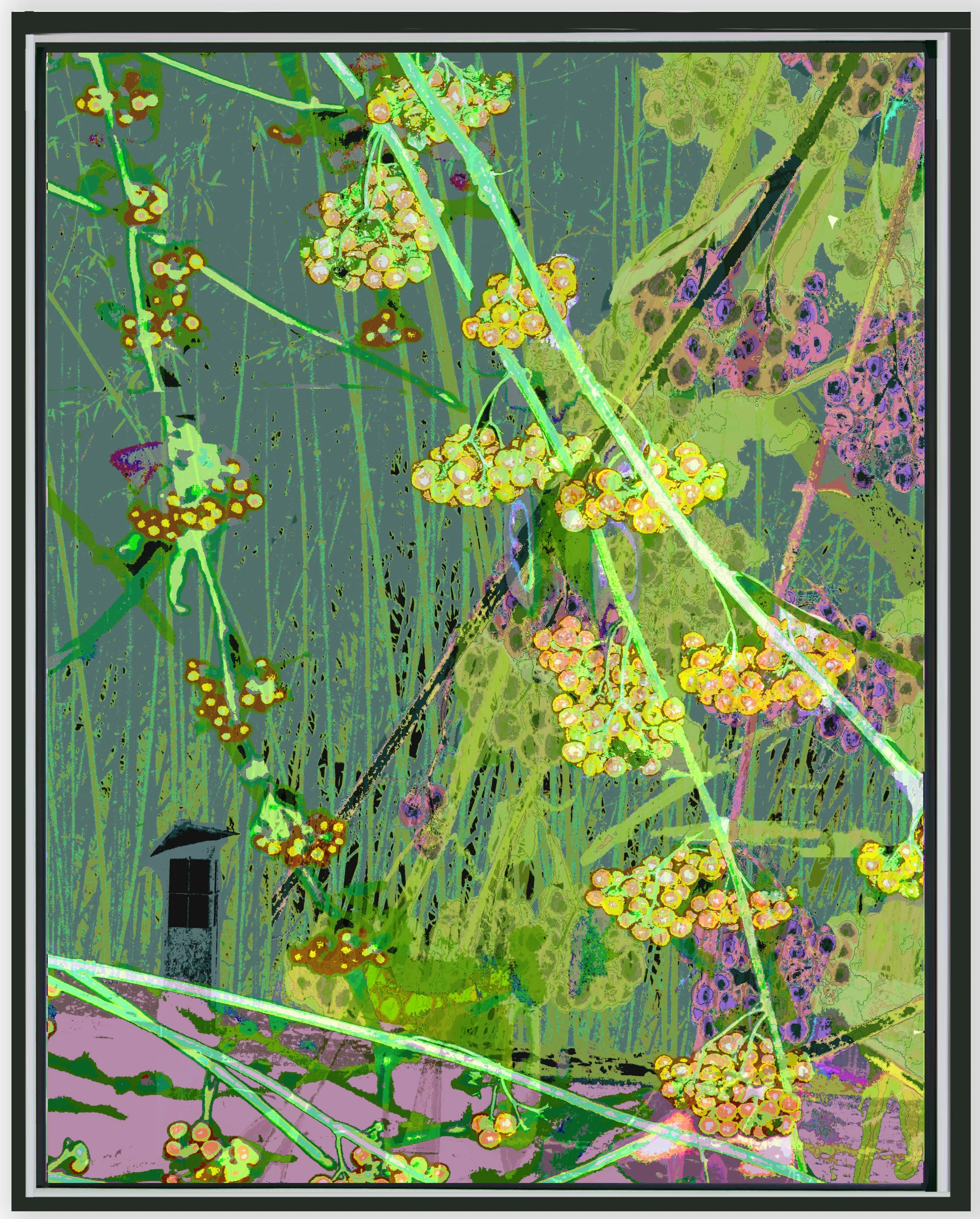 Bamboo w Cherry Blossom lVb2 Vert b Frame w shadow 11_14 web_2025.jpg