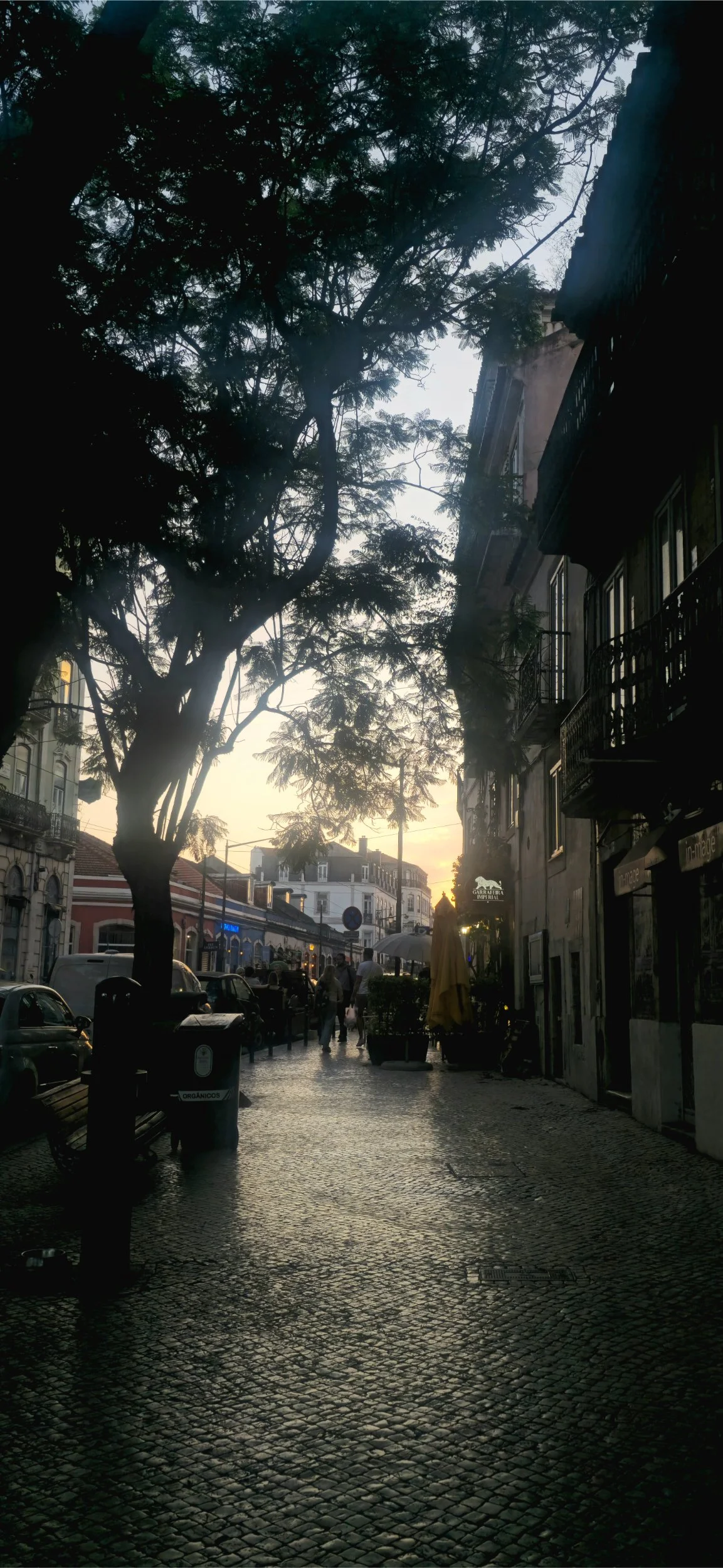 20250730_204216.jpg