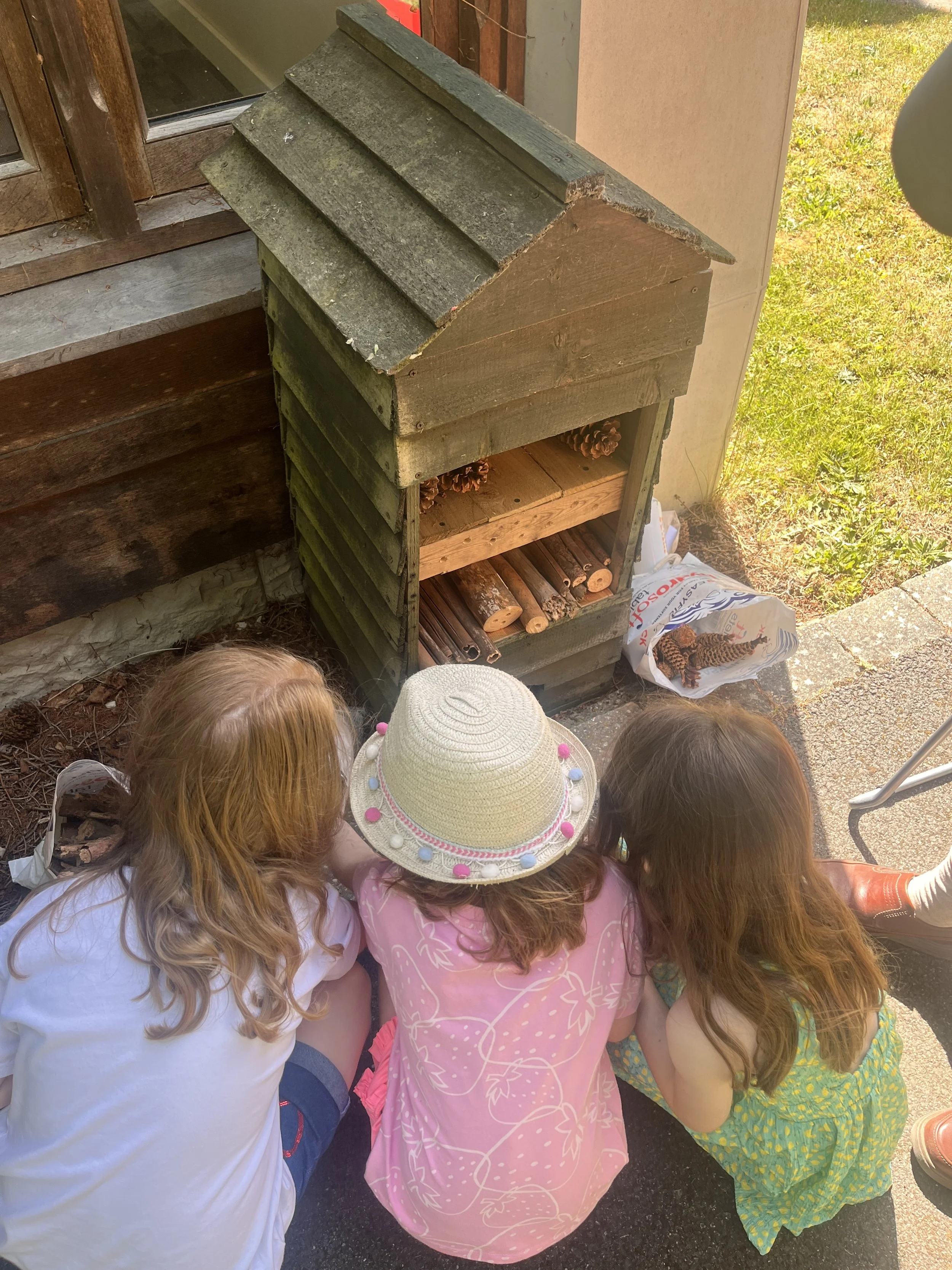 Our new Bug Hotel in St Mary's Churchyard