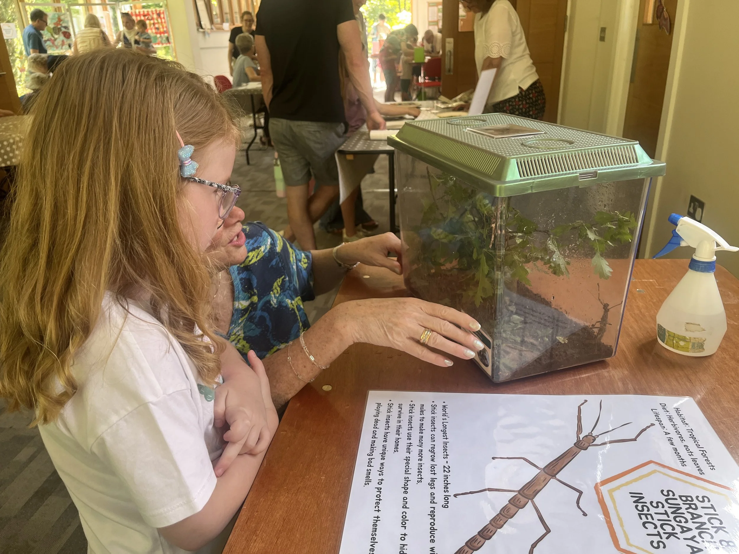Discovering Bugs at St Mary's Family Acitivity Morning