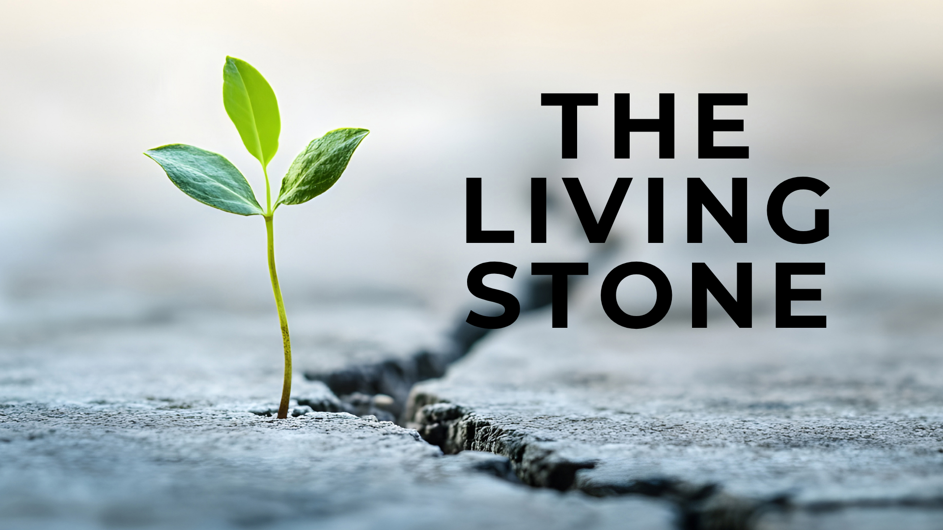 The Living Stone - Sunday 3rd May.  A sermon by Dr Mark Puddy