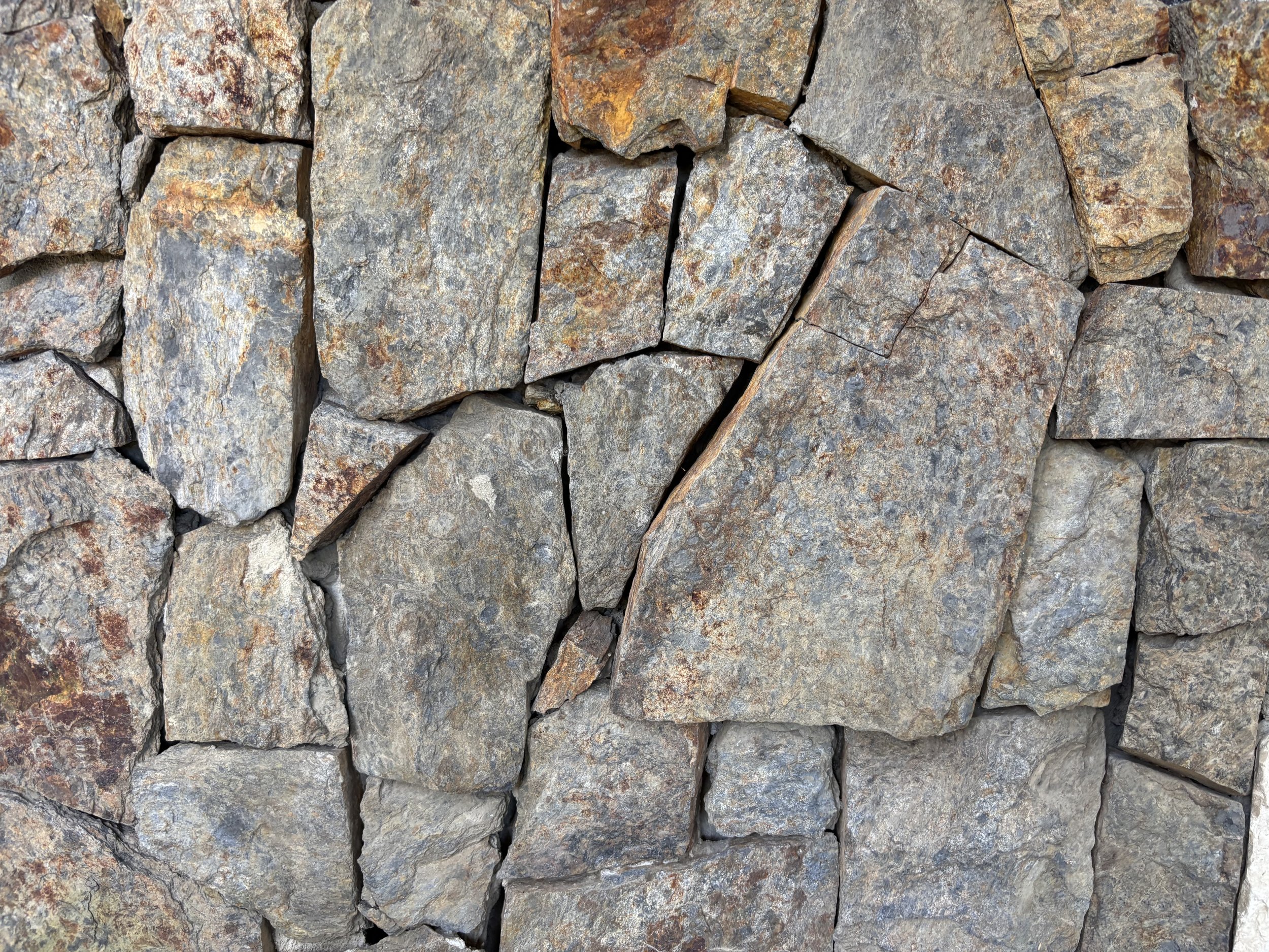 Piedra Cucaracha en laja