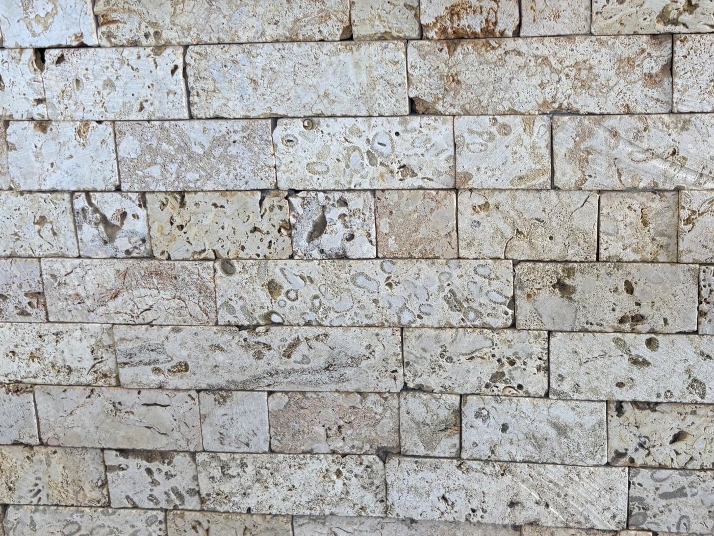 Piedra Coralina cortada