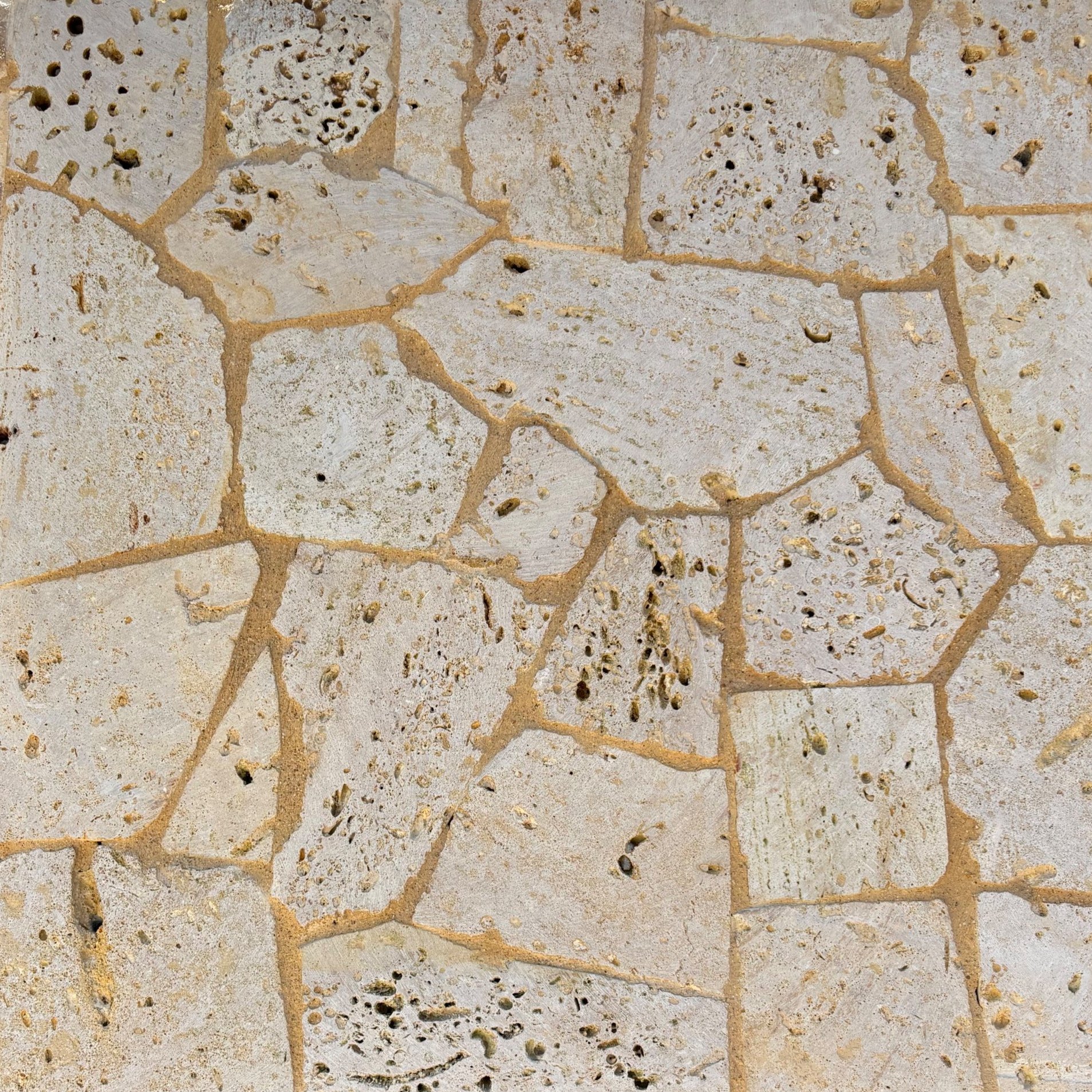 Piedra Coralina en laja