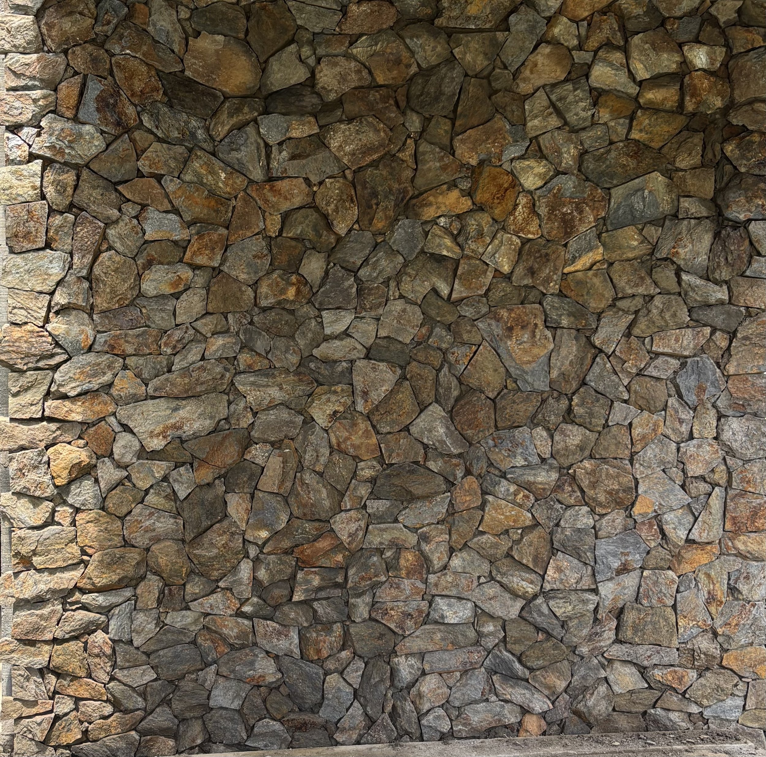 Piedra Cucaracha en laja