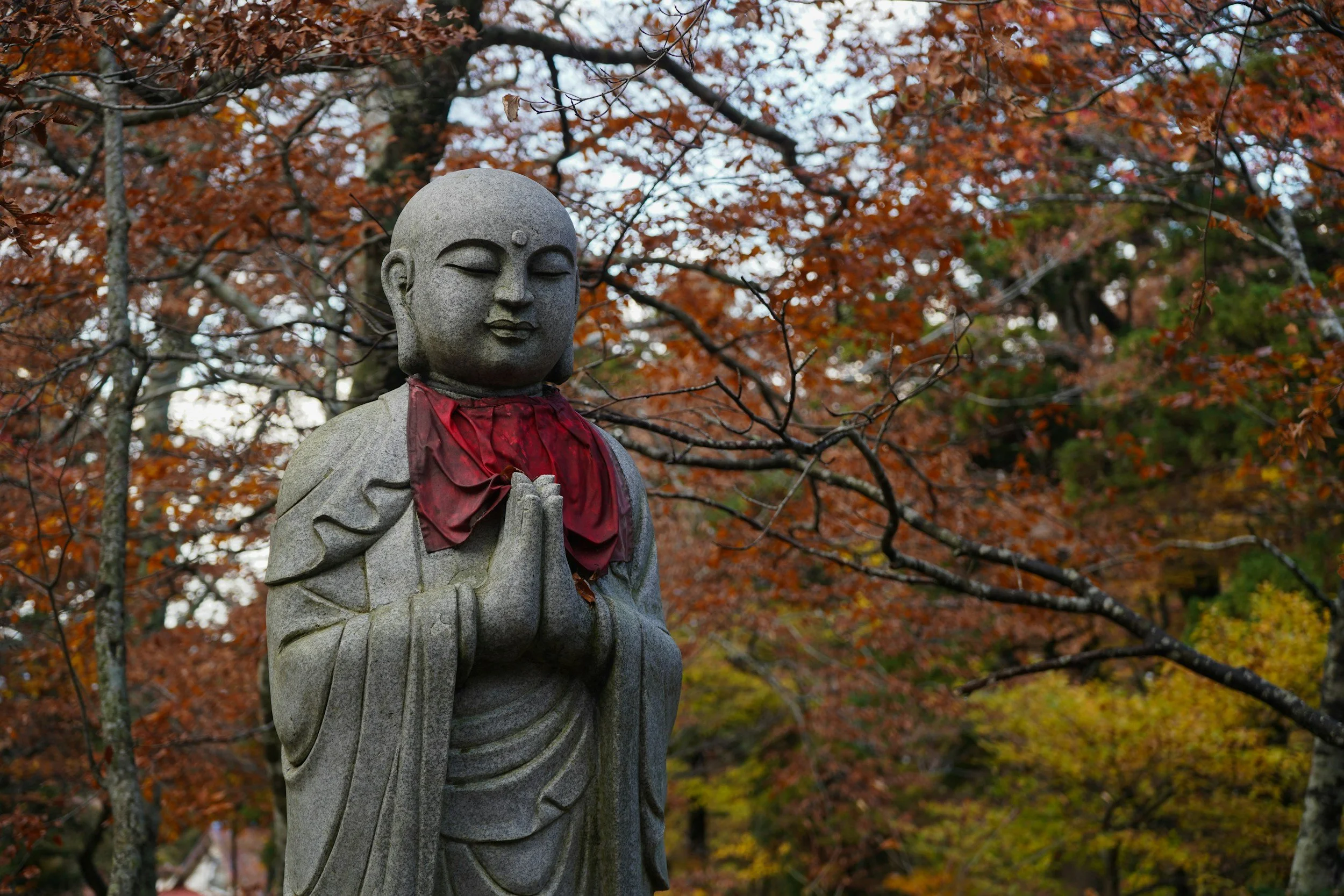 Yoga for Difficult times: turning to the brahmaviharas